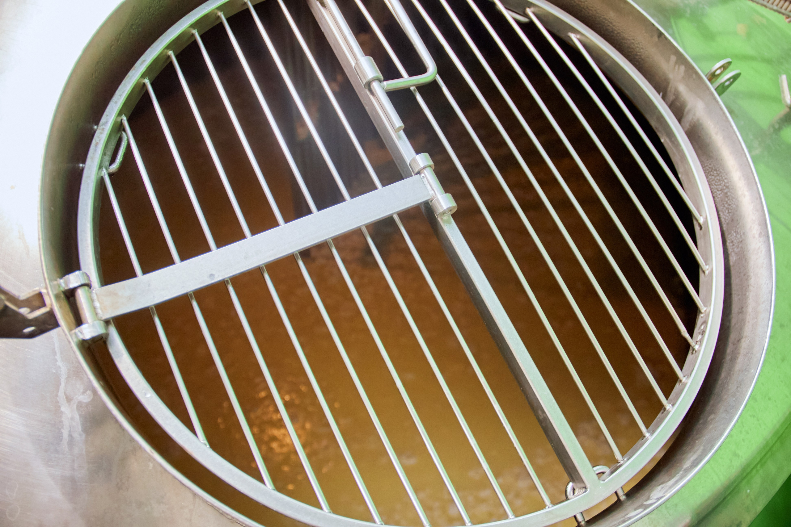 Экскурсия «Агроферма-Катынь». Фотограф в Смоленске Ася Польшина