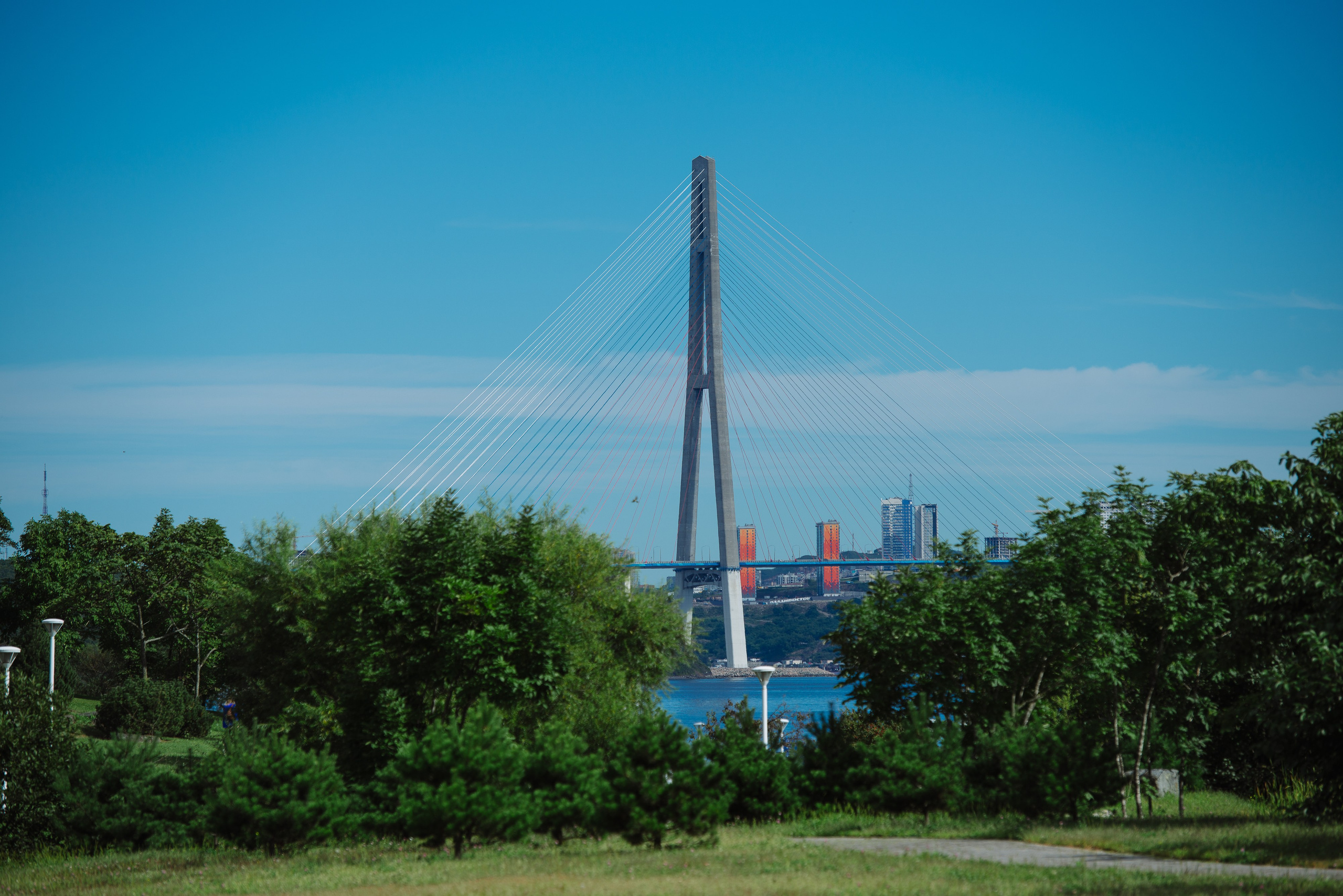 ВЭФ 2024. Фотограф Мария Каюрова