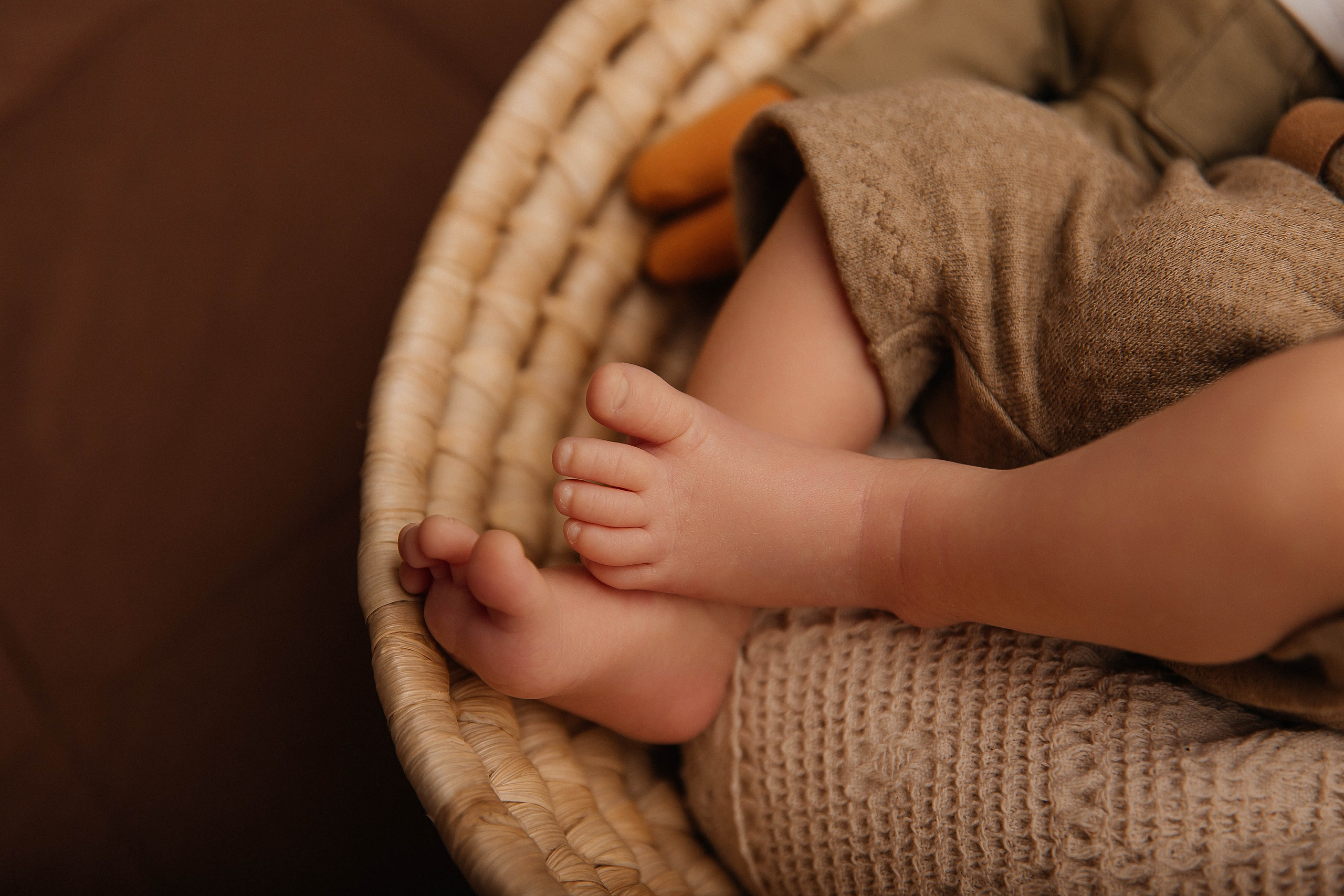 Лев. Фотограф новорожденных Тверь Диана Муляева