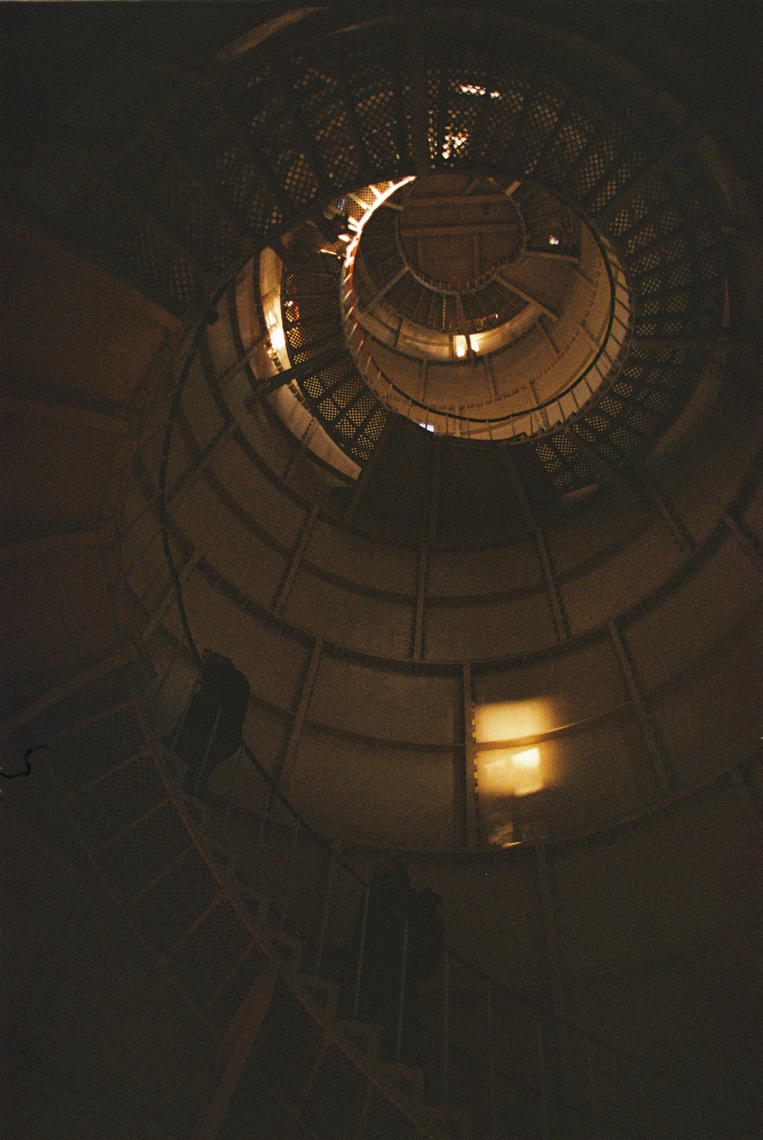 ON THE GO. Сocoobird || Атмосфера твоего бренда в снимках и видео