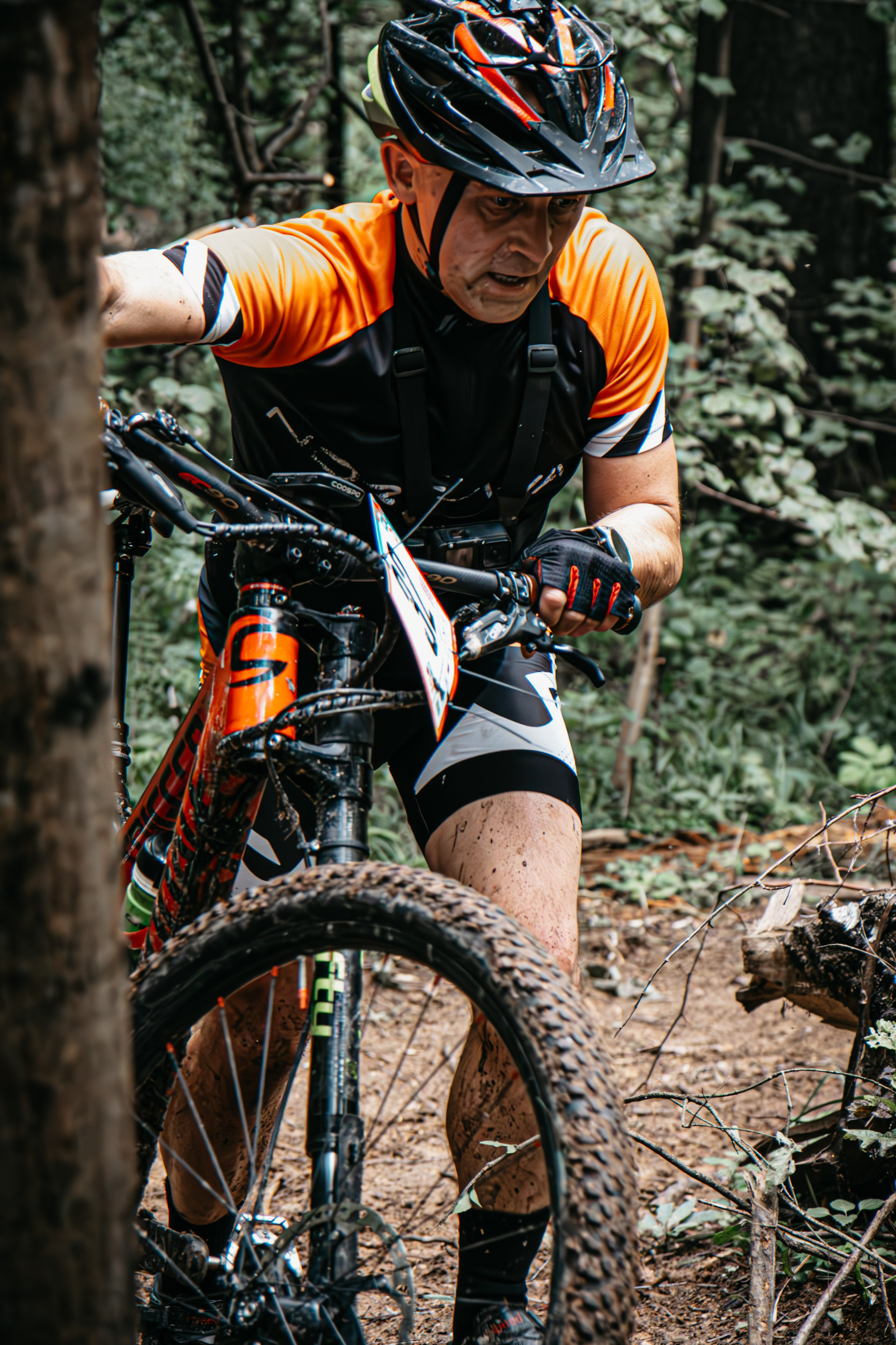 Портфолио «Спорт+»