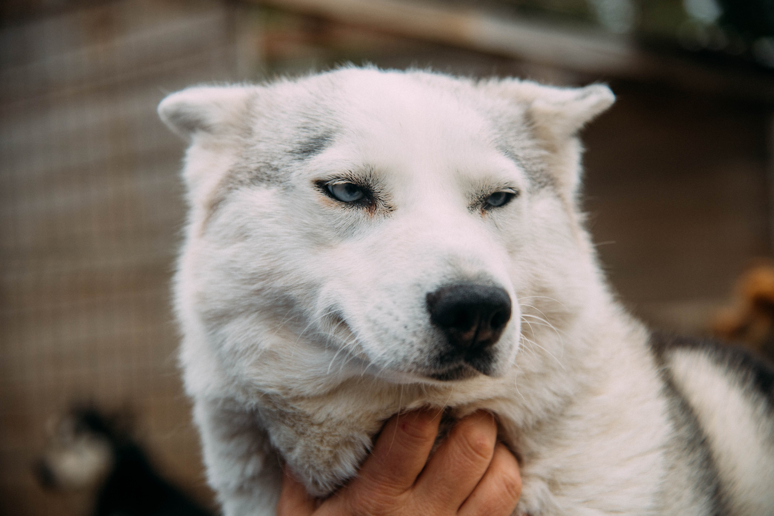 Кольский полуостров. Фотографирую для себя, своей семьи и друзей!