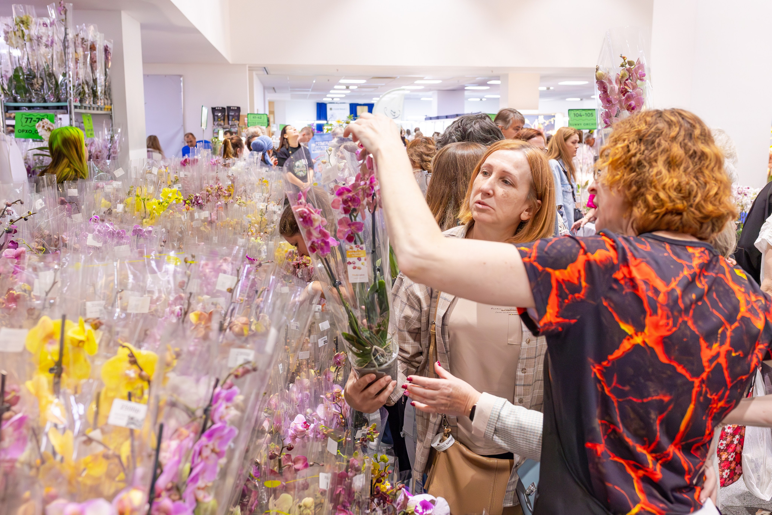 Орхидиум сентябрь 2025. Александра Куликова фотограф, Москва