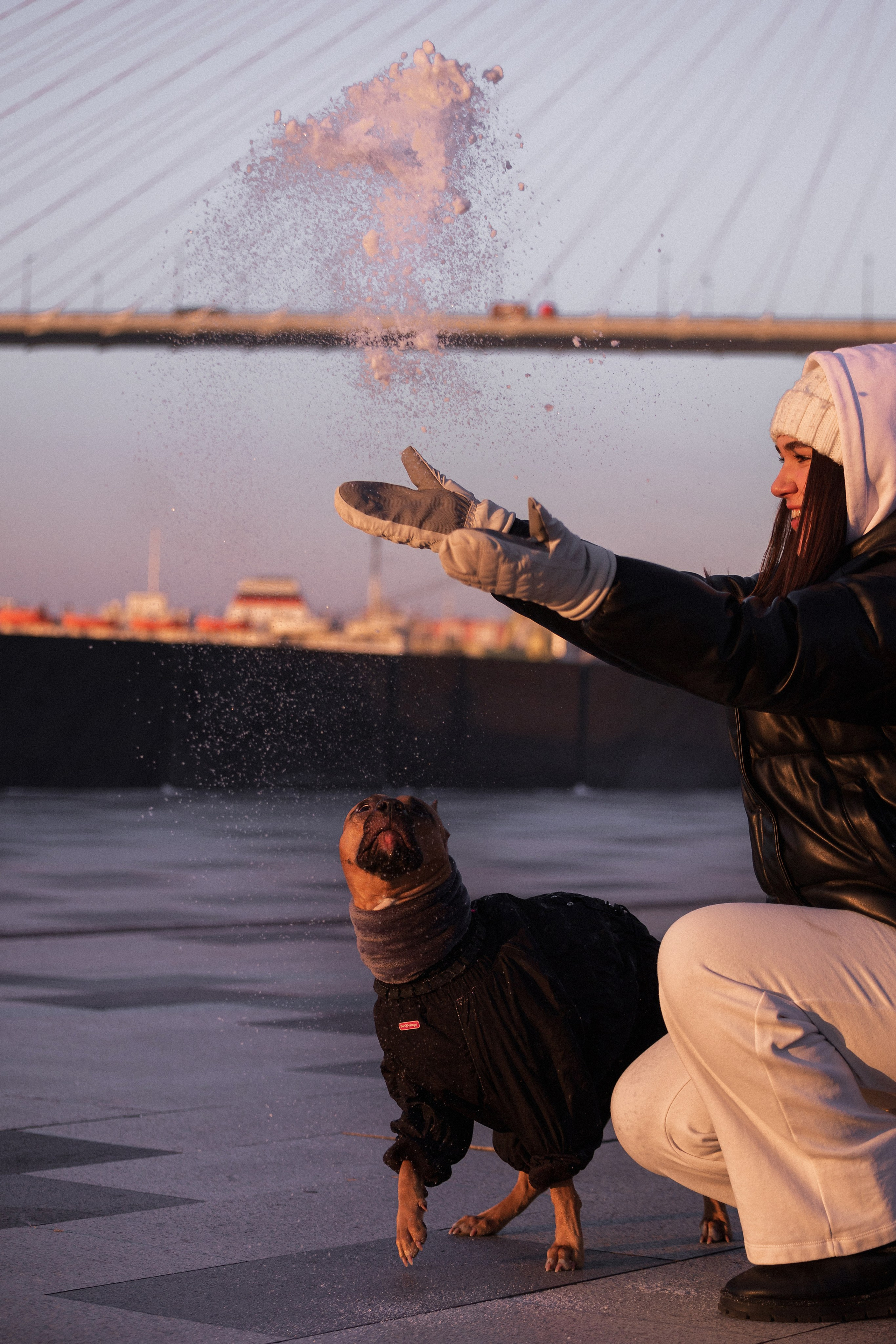 Арина и Стэфи. Фотограф — анималист Владивосток, Алина