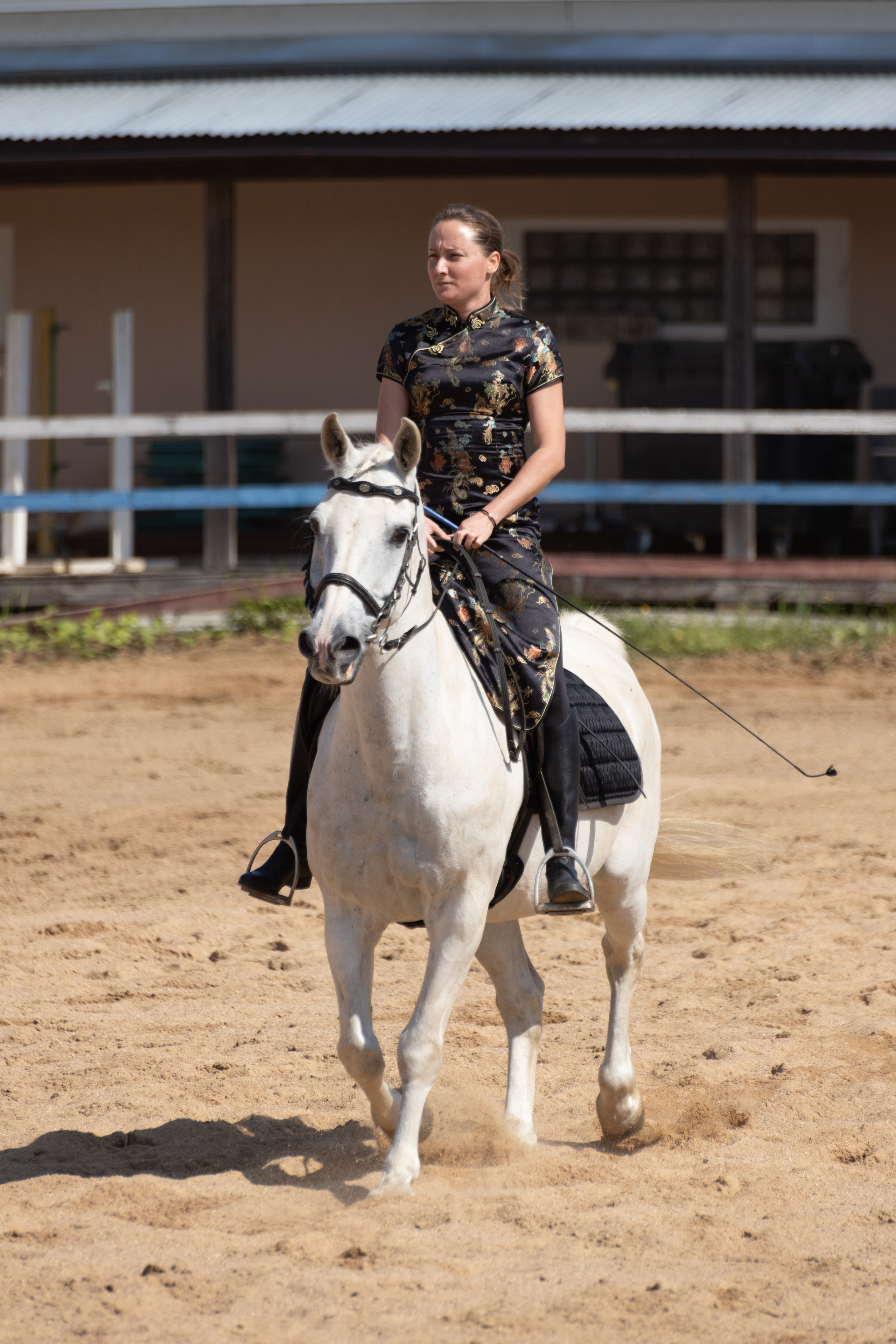 Конюшня. Фотограф в Москве и Истре