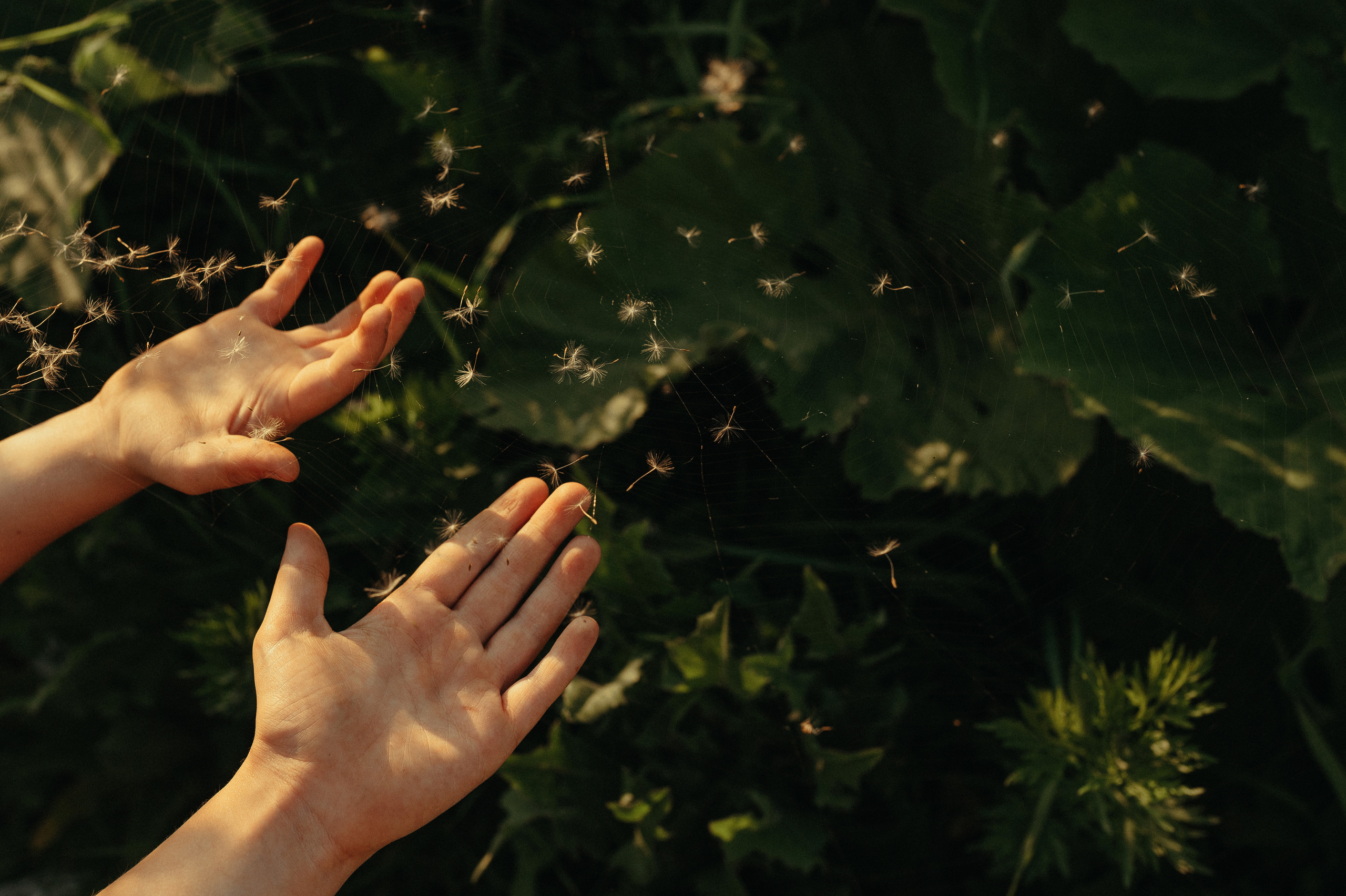 Для Александры, Алексея, Маши и Стёпы. Семейный фотограф в Новомосковске, Туле и Москве Ольга Бубликова