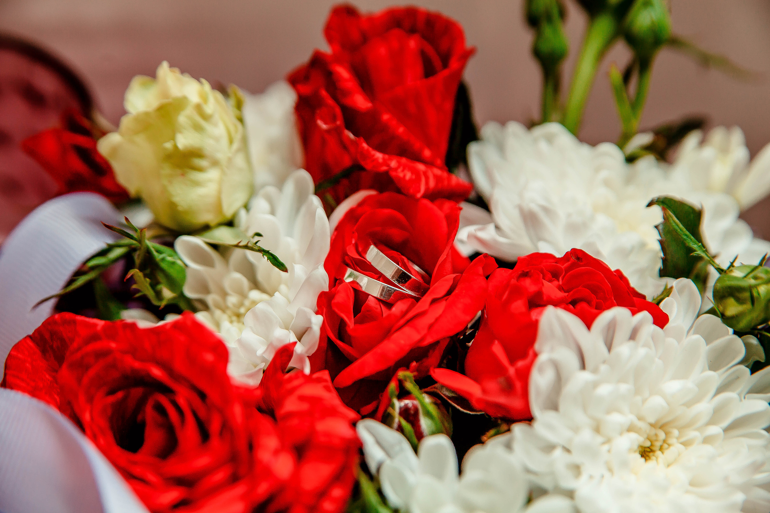 Екатерина и Иван. Фотограф-Тагиев Роман в городе Калуга