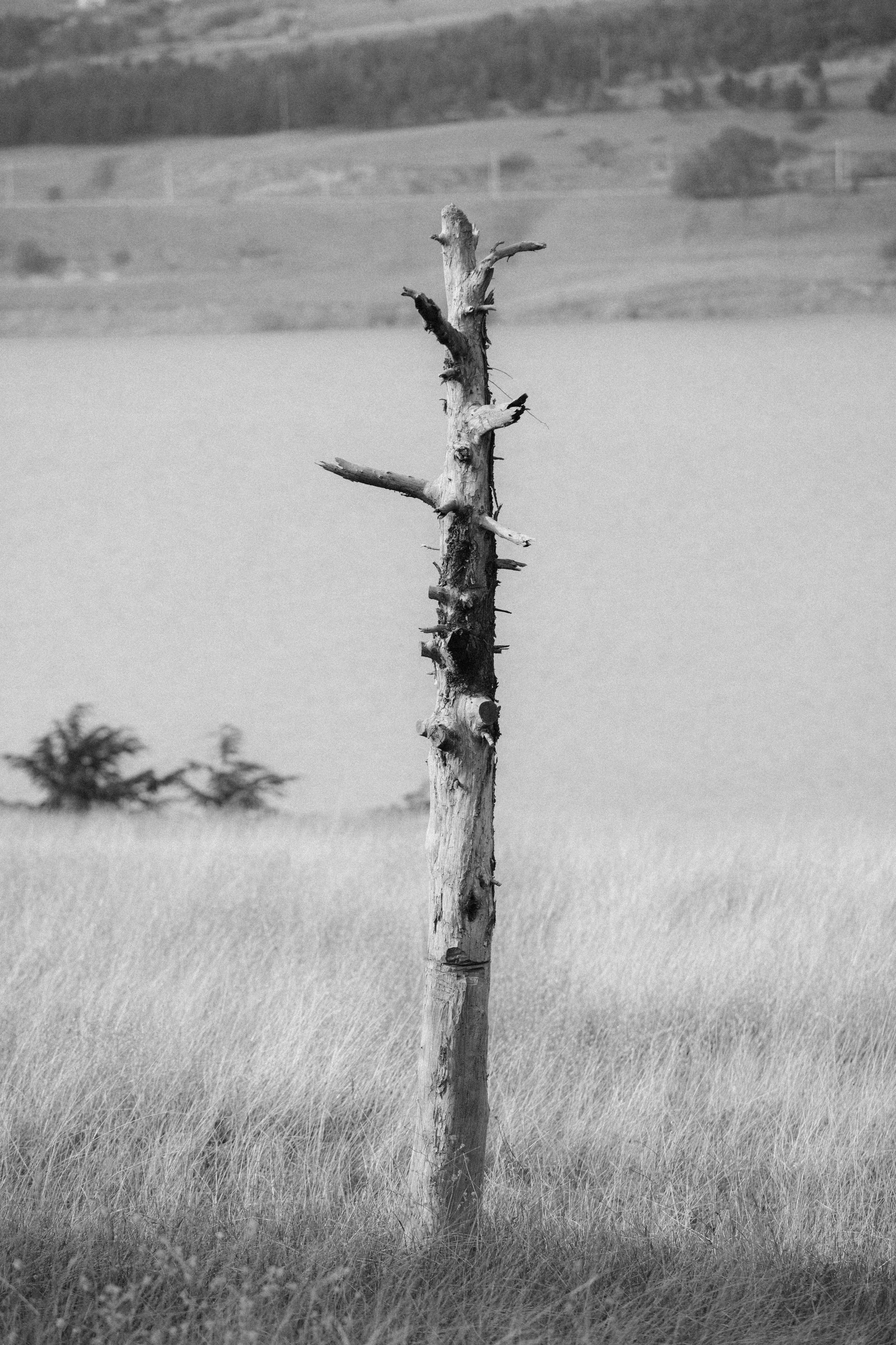 Georgia, 2024. Воройская Анна