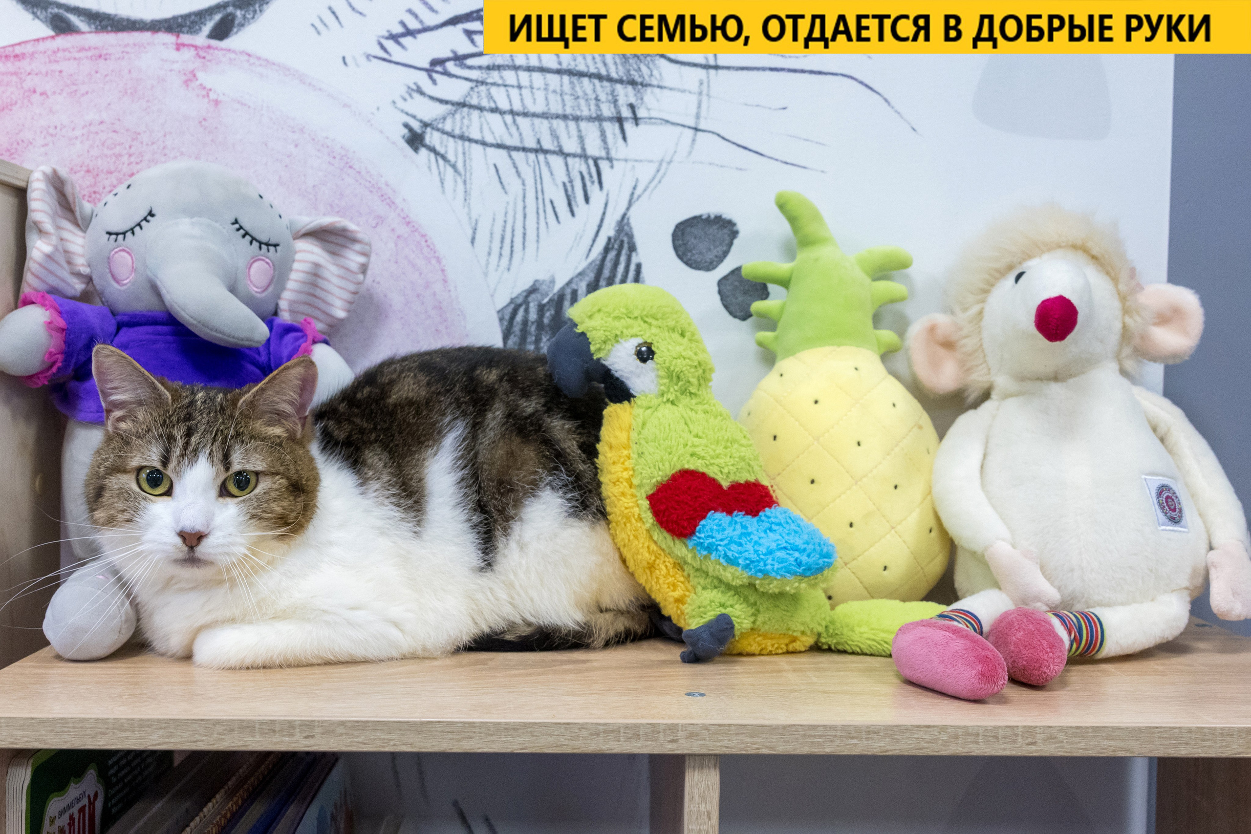 Рекламная съемка в Москве. Геннадий Степанов —фотограф в Москве