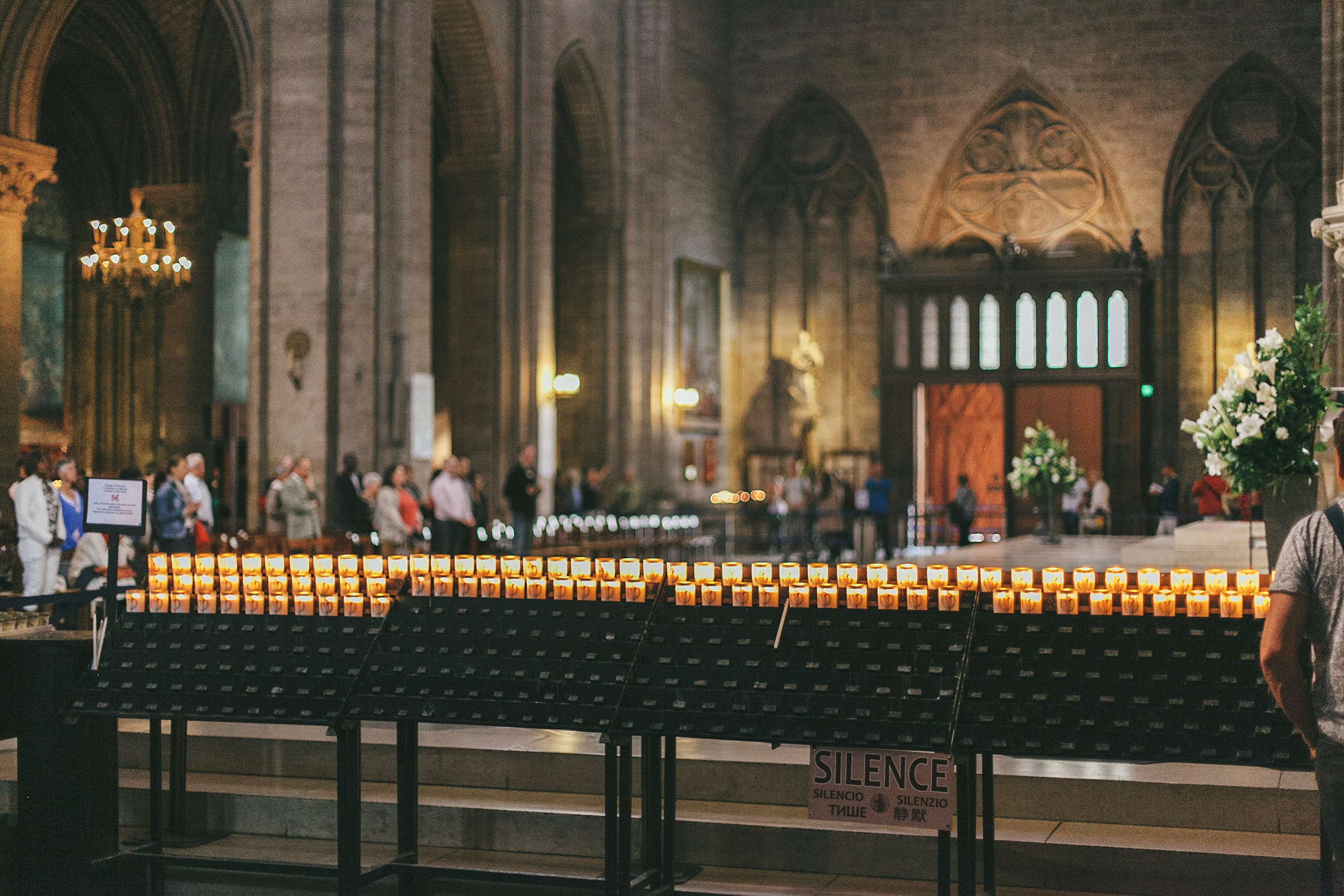 Париж. Аня Степанова