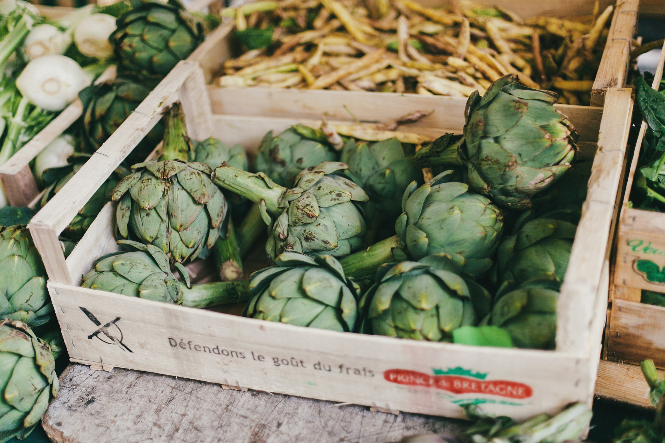 Париж. Аня Степанова