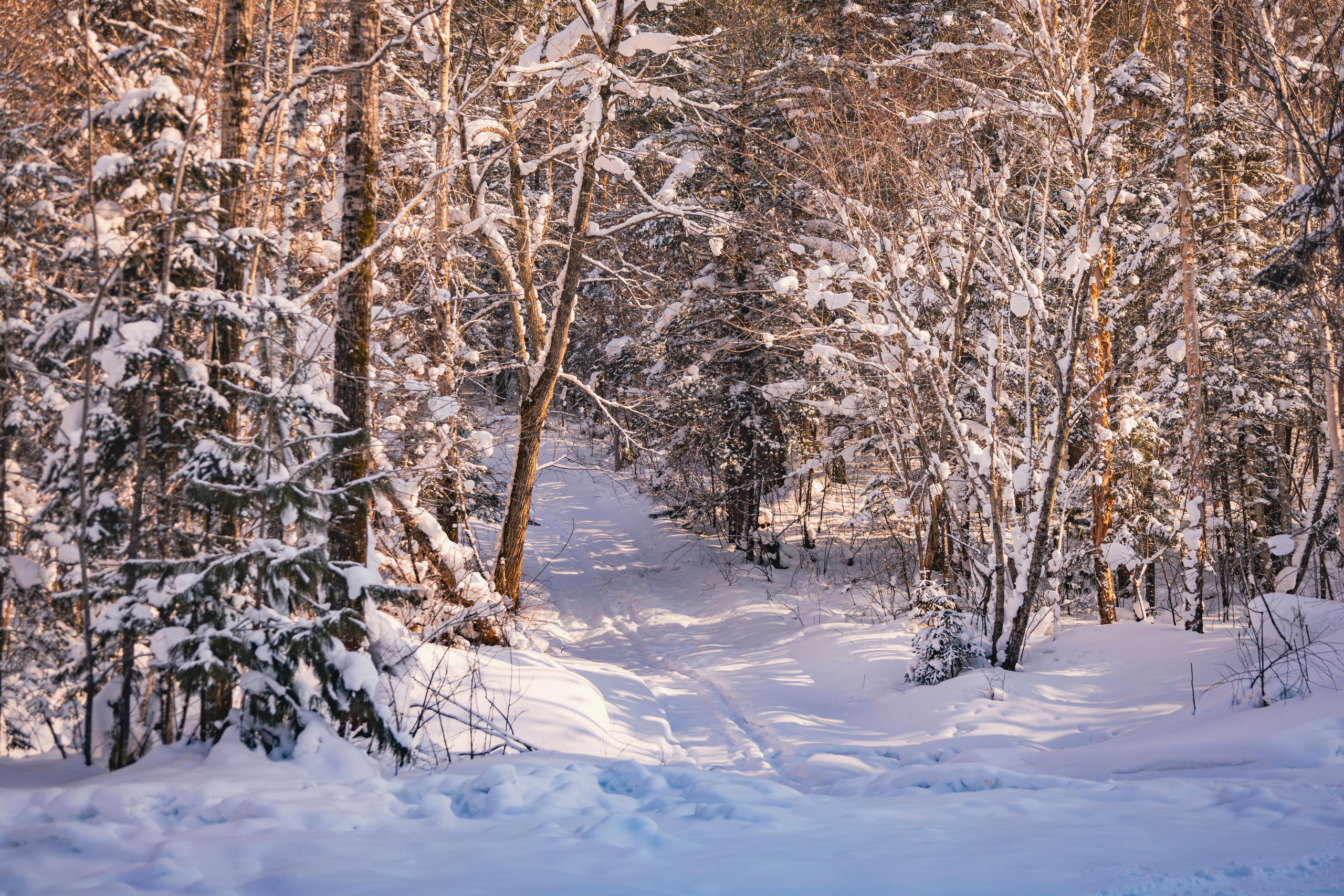 Походы. Фотограф г. Владивосток
