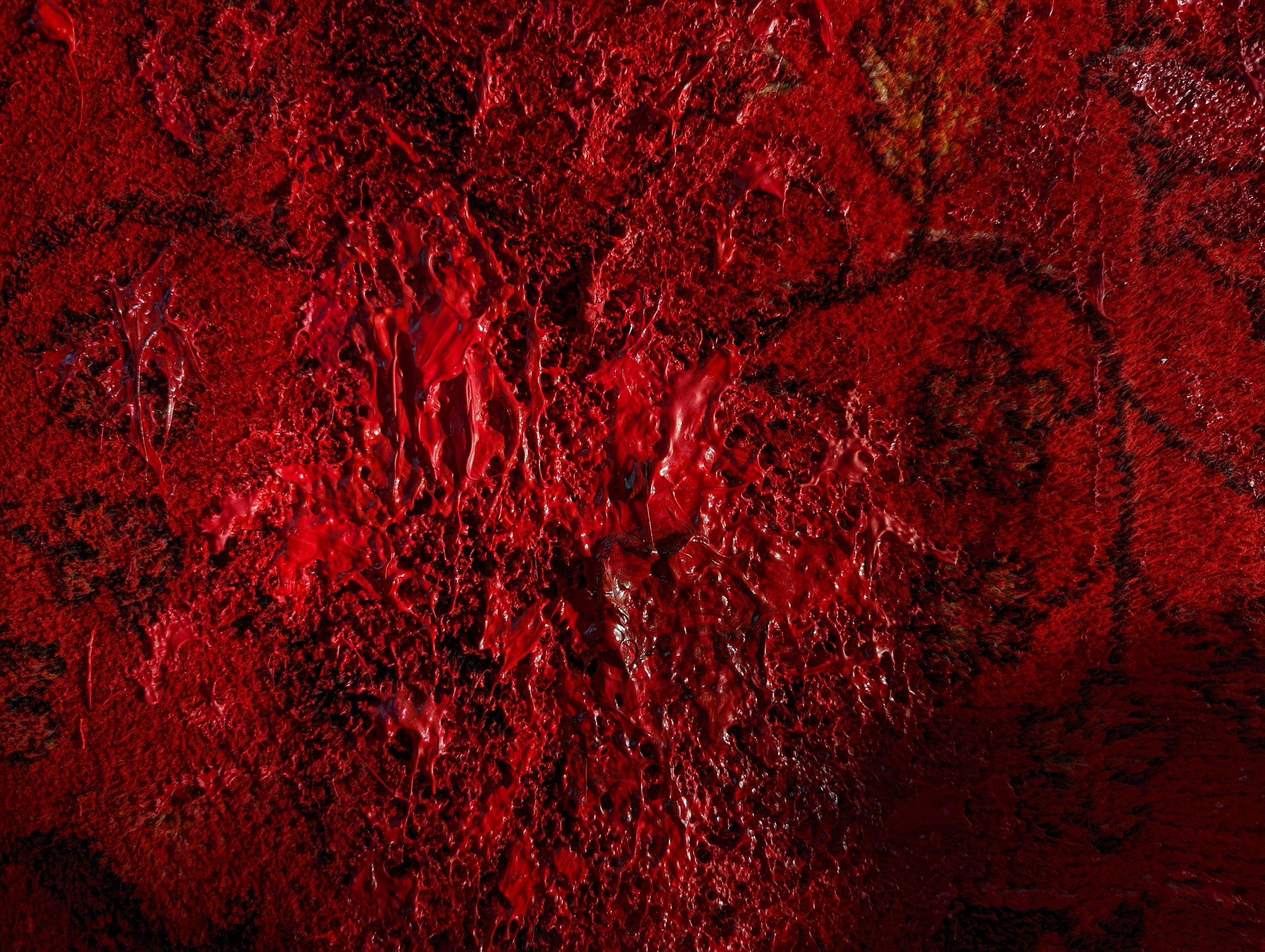 Red Ibis. Ruzanna Teterina artist, St.Petersburg, Russia