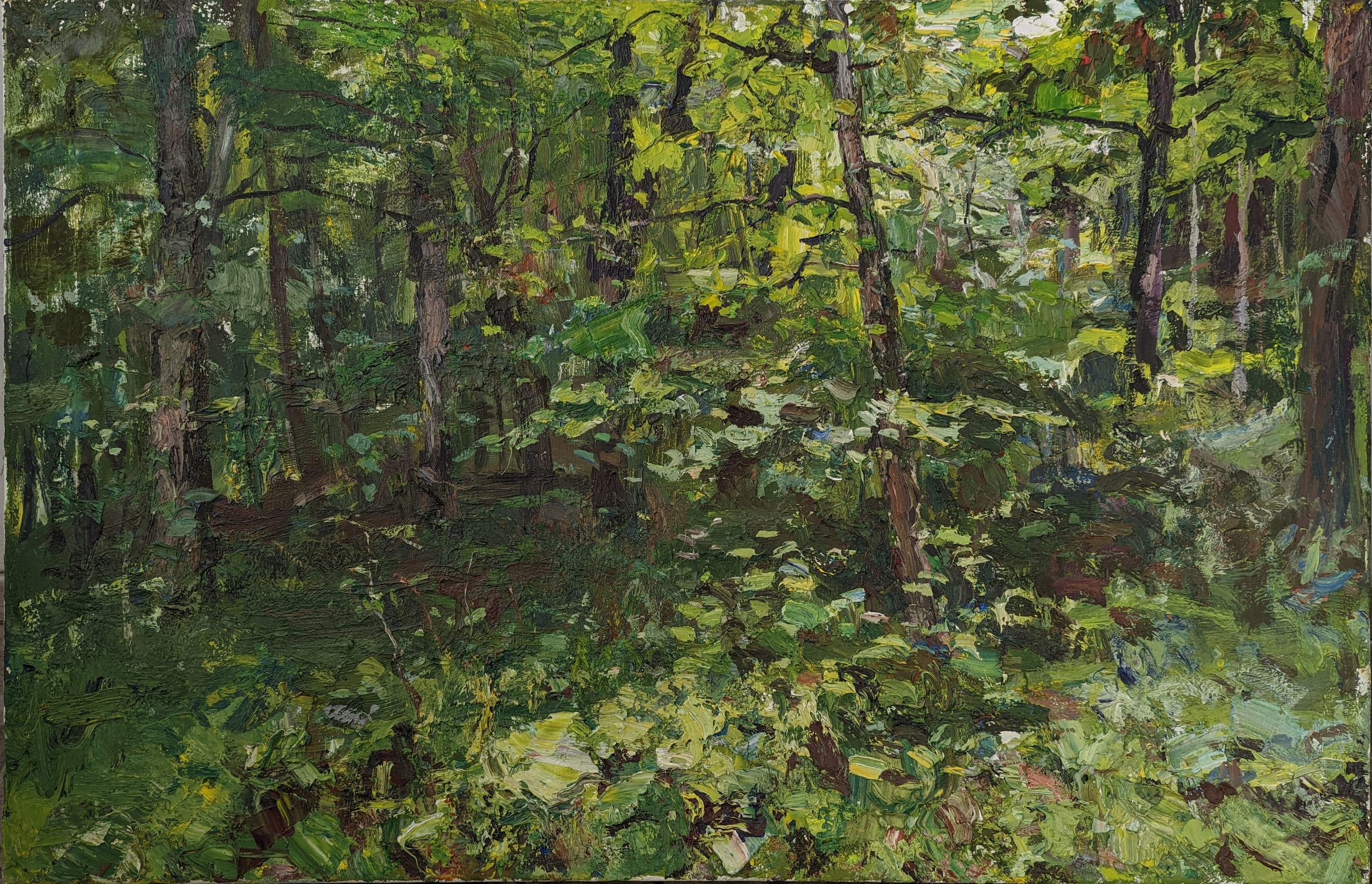 Буковый лес. Рузанна Тетерина