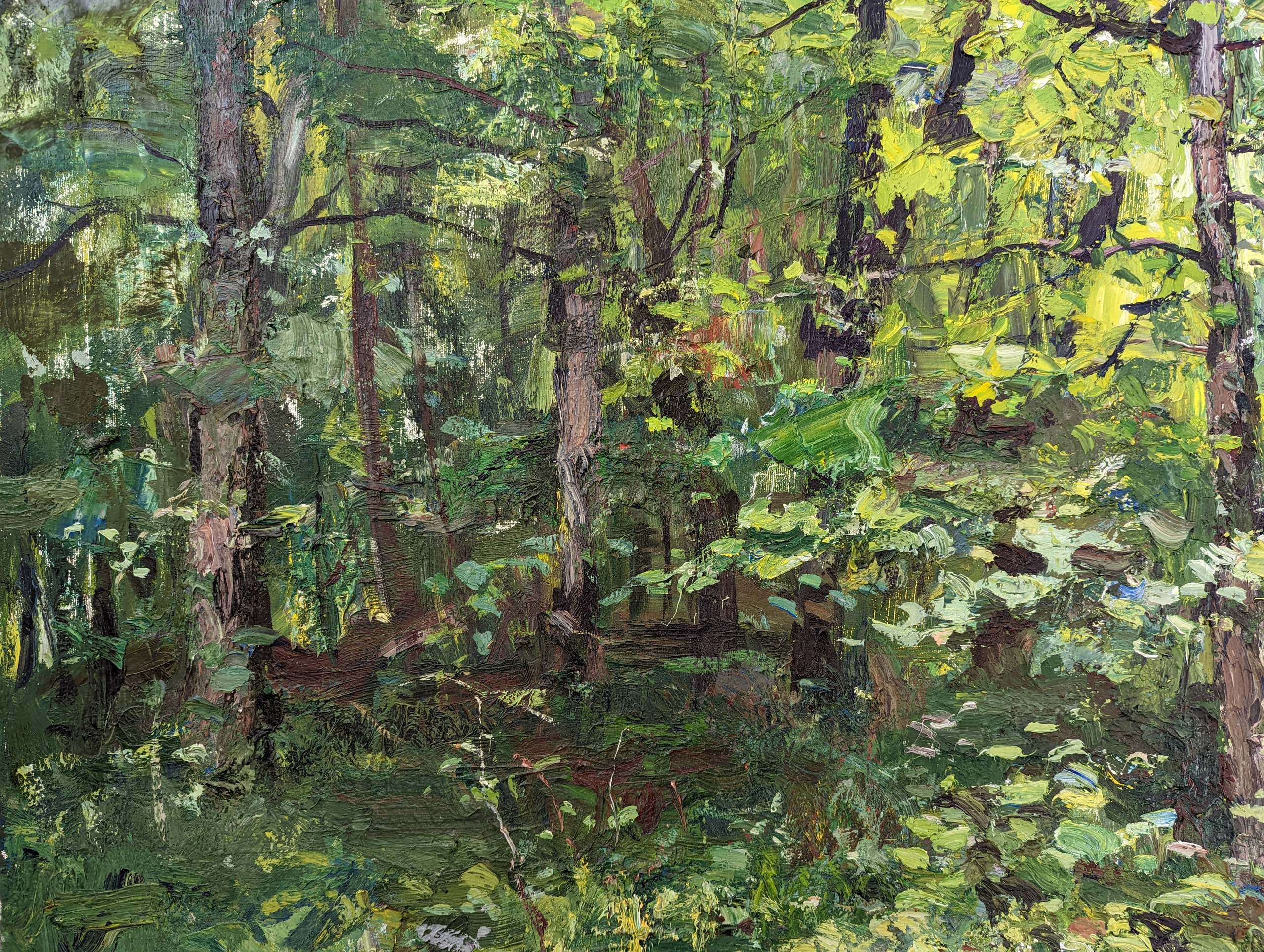 Буковый лес. Рузанна Тетерина