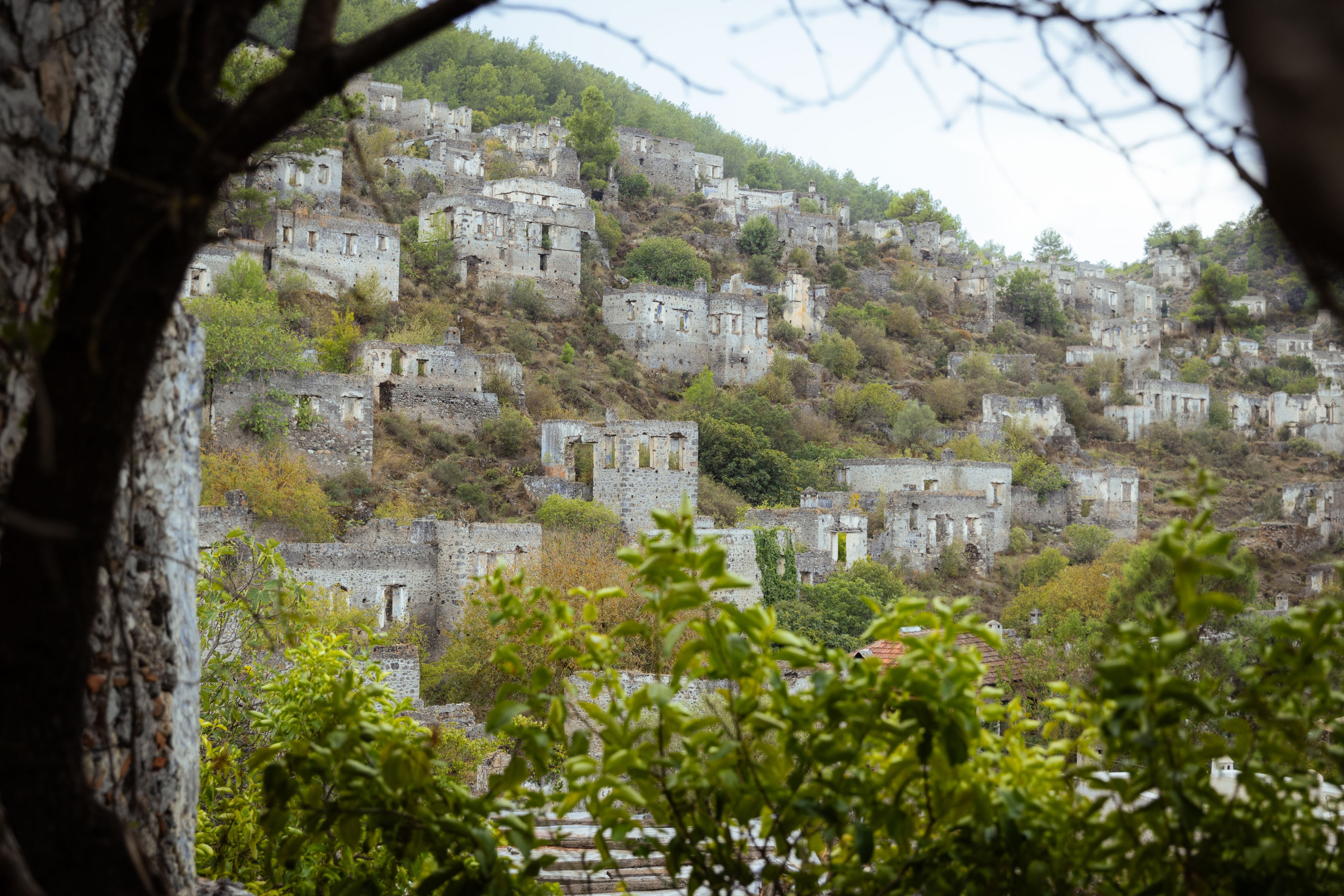 Турция (осень 2023). Фотограф Виноградов Константин