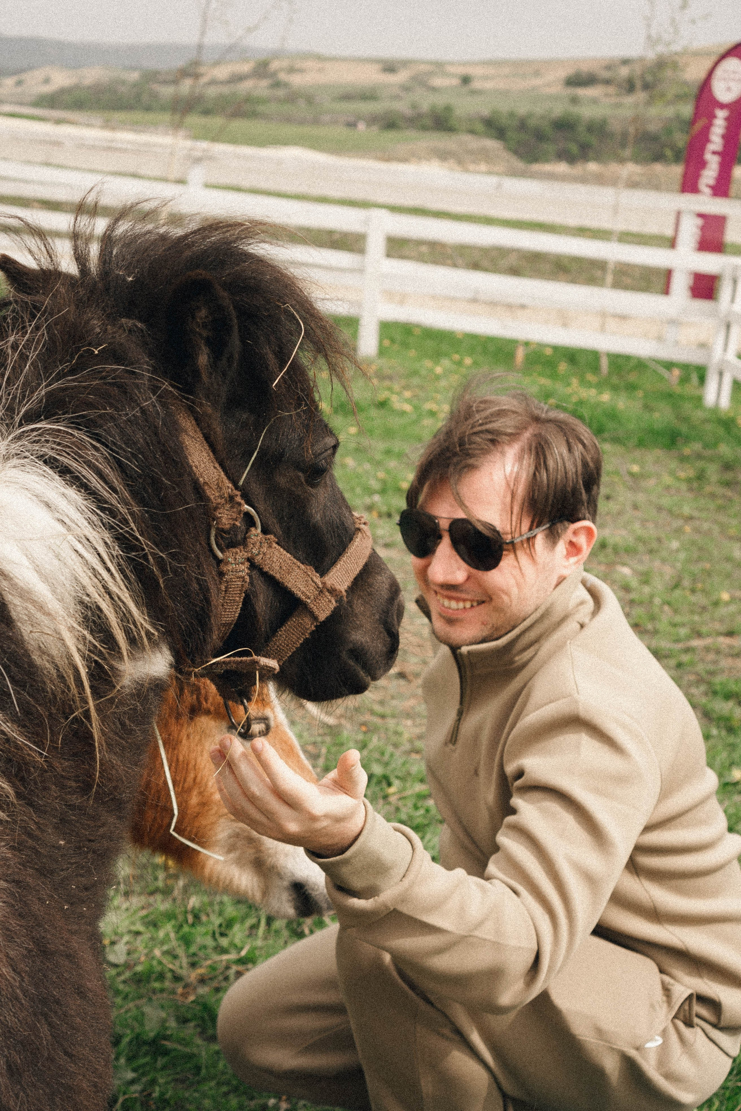 Ферма Альпак. Профессиональный фотограф, Санкт-Петербург — Виктория Богомолова