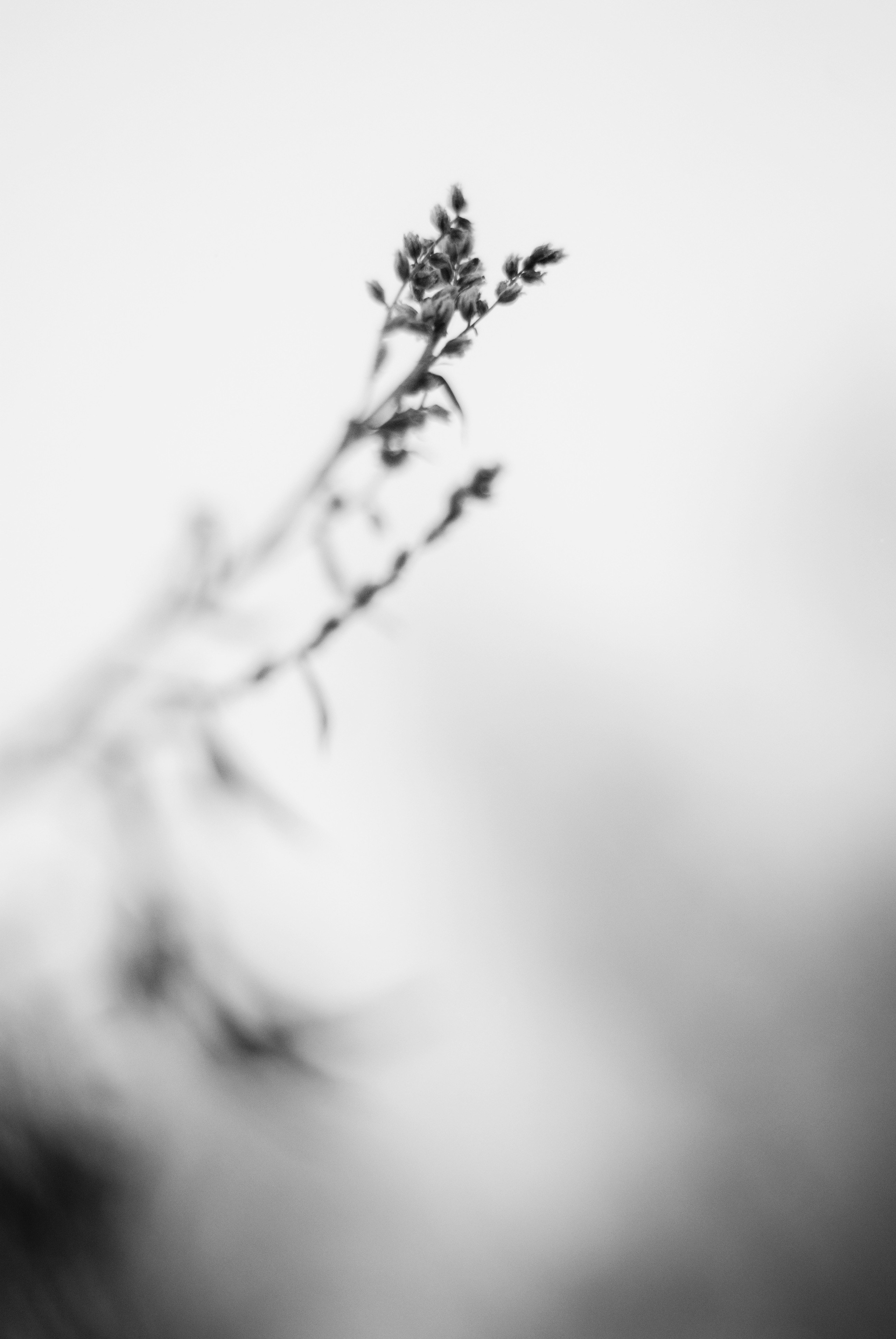 Внутривенные сны (2018-2023)