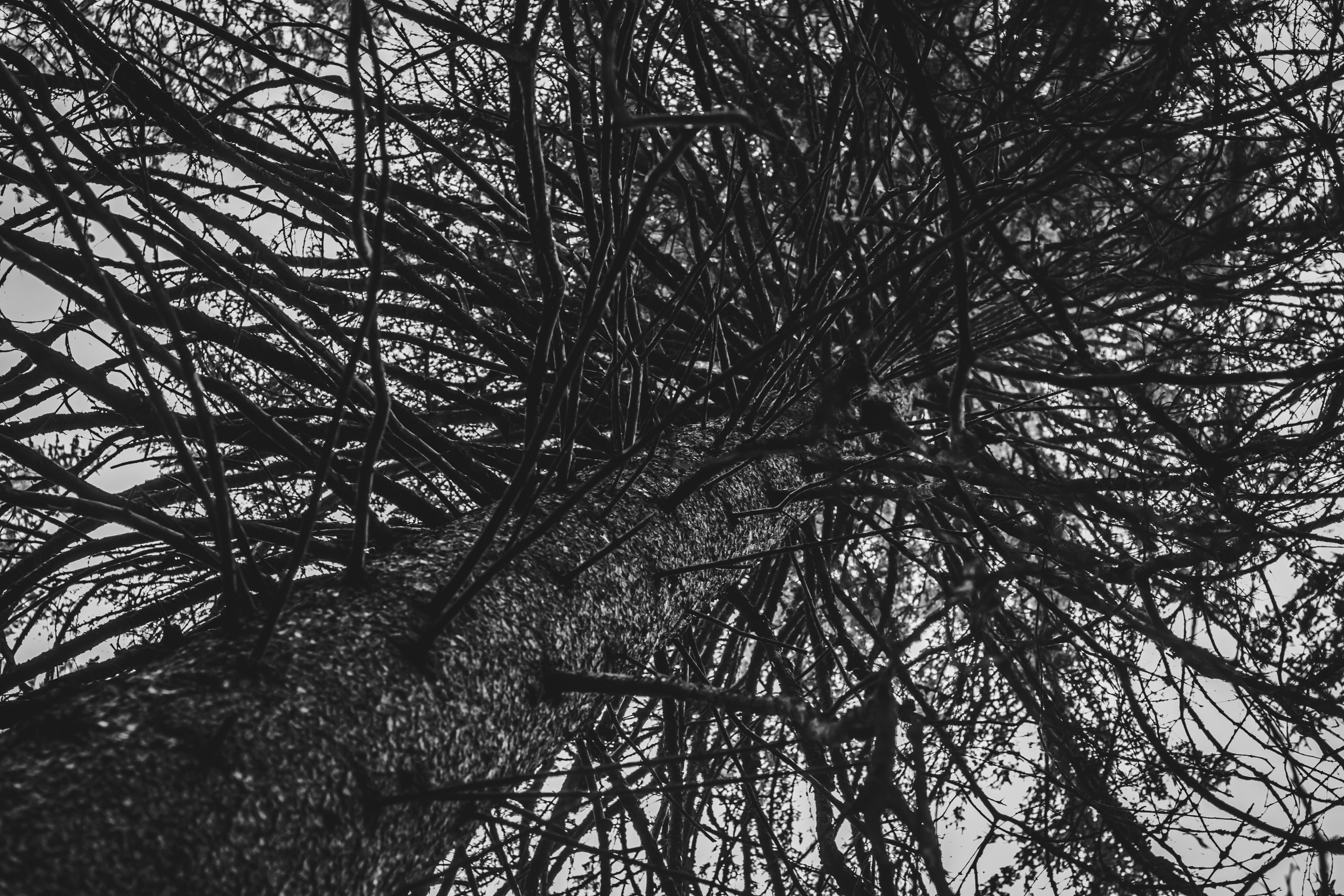 Александр и лес. Фотограф из Первоуральска Роман Заиченко