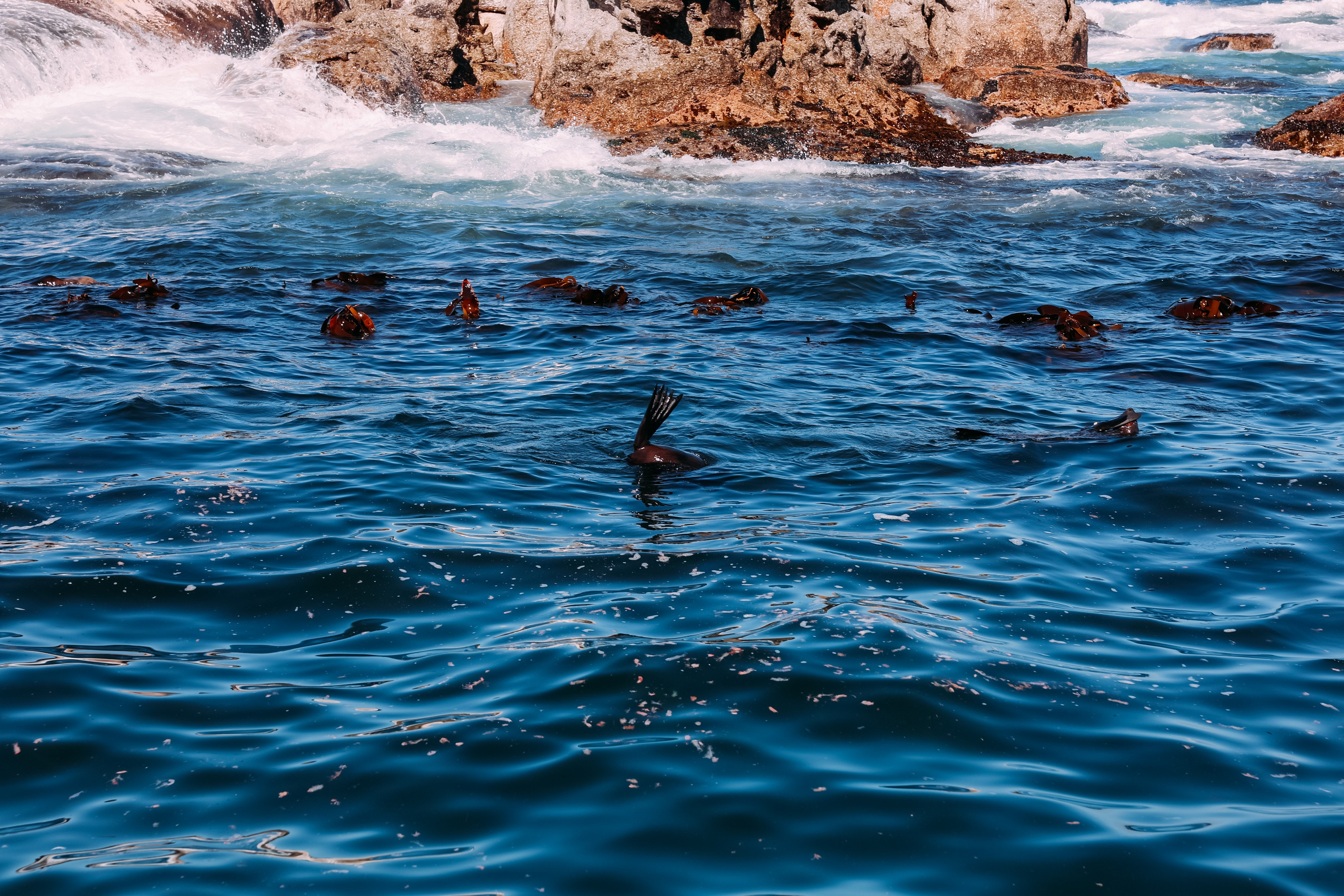 ФОТО ТУРЫ ПО МИРУ. Фотограф Марина Аблаева-Кожедуб