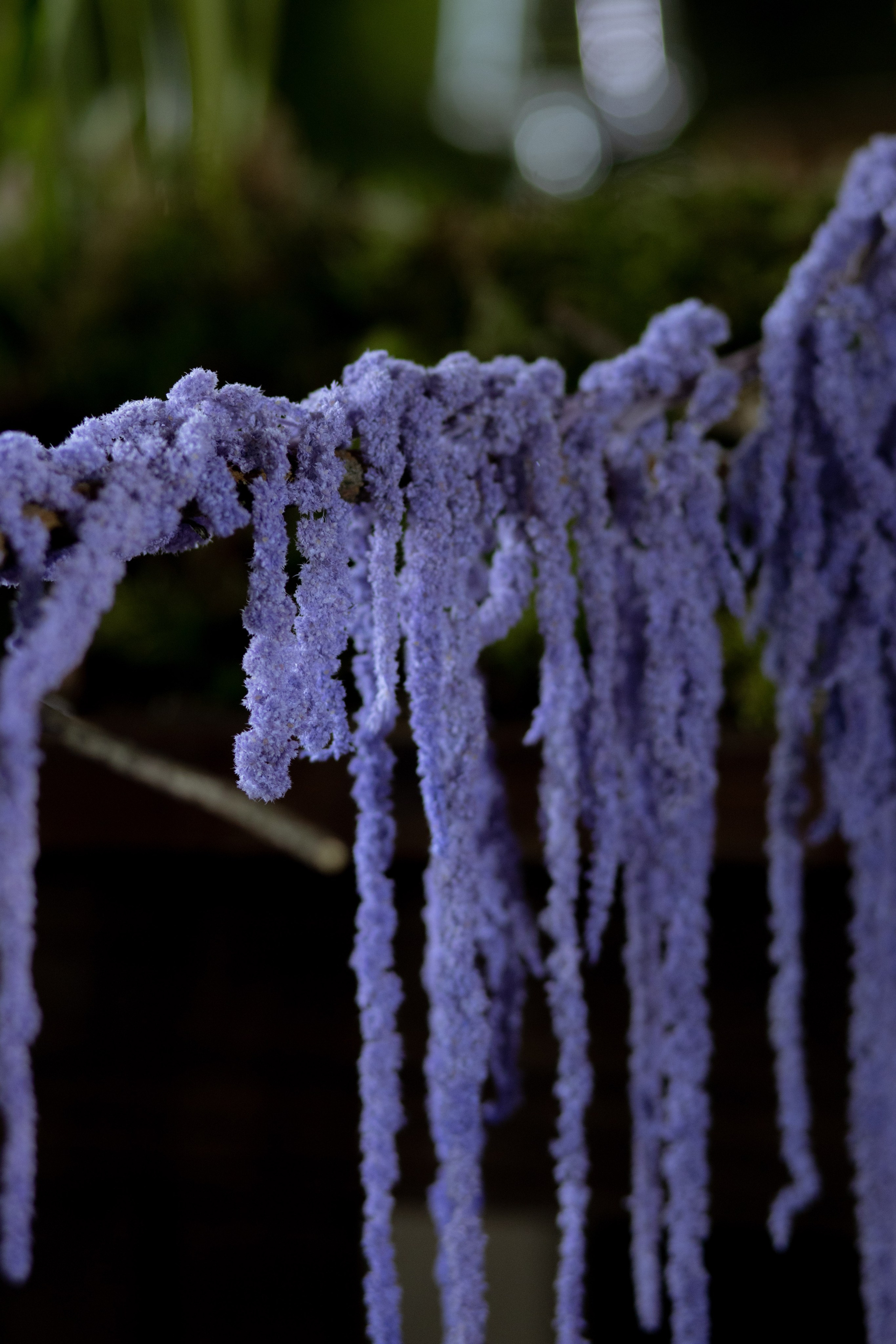 Павел & Полина. Оформление свадеб, декор свадеб Вера Маркова, Москва