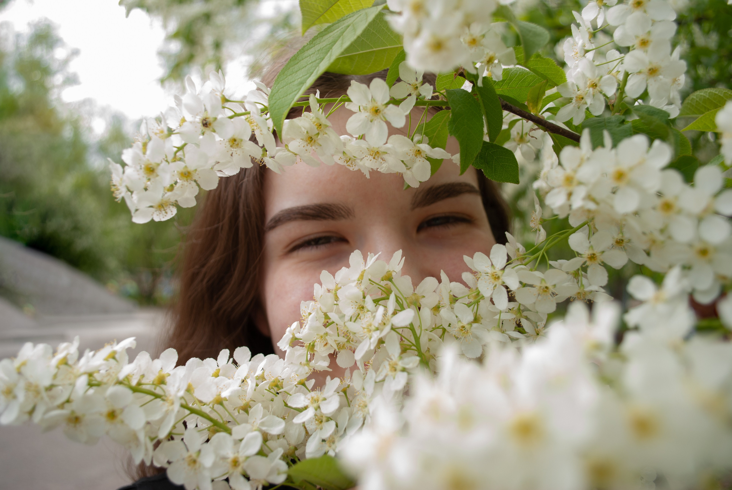 Цветение. Alina.Dvt — профессиональный фотограф|Красноярск