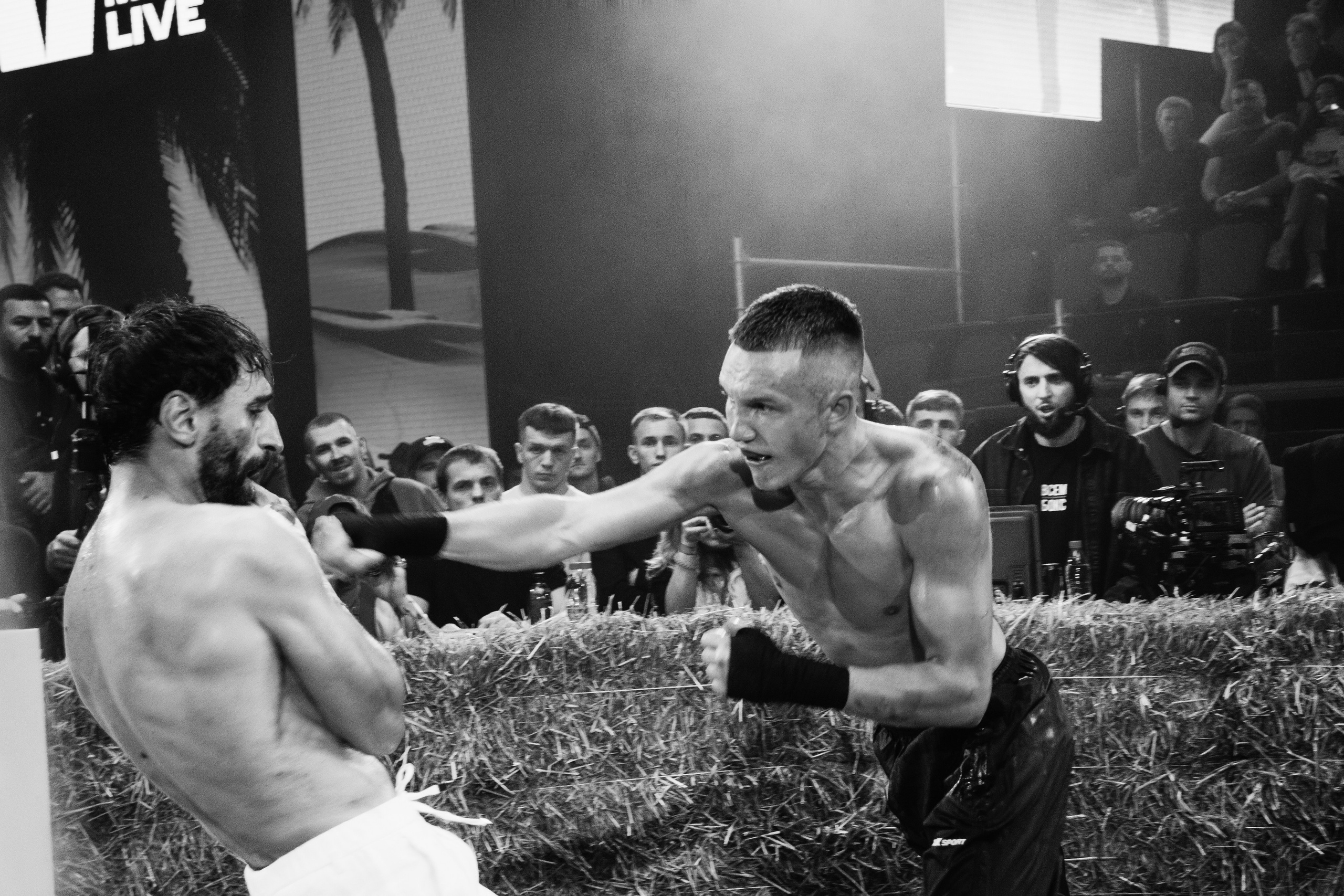 Кулачные бои TopDog. Анастасия Тен