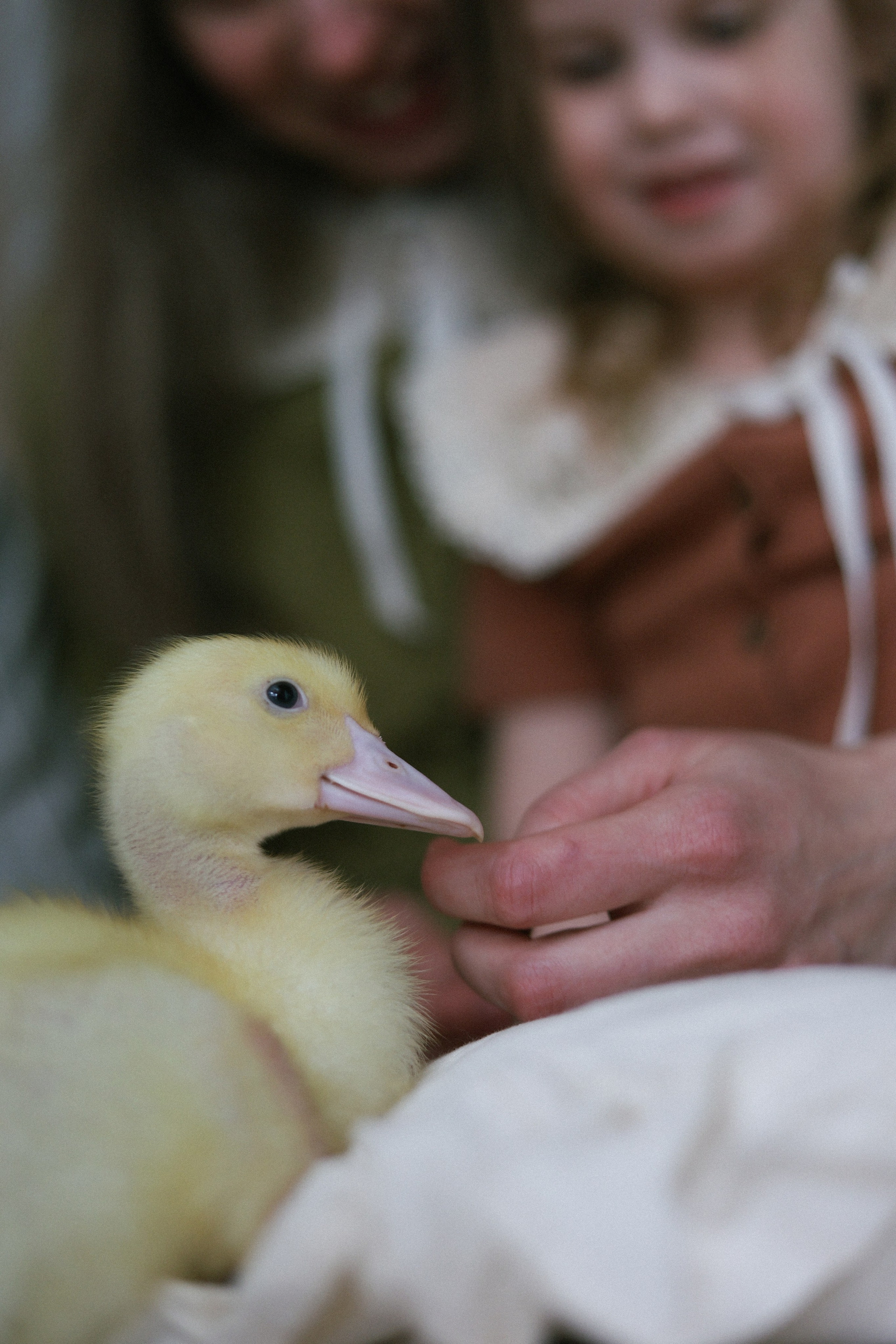 🐣 Пасха. Фотограф НатаФото (Наталья Яковенко) Дмитров Москва Питер