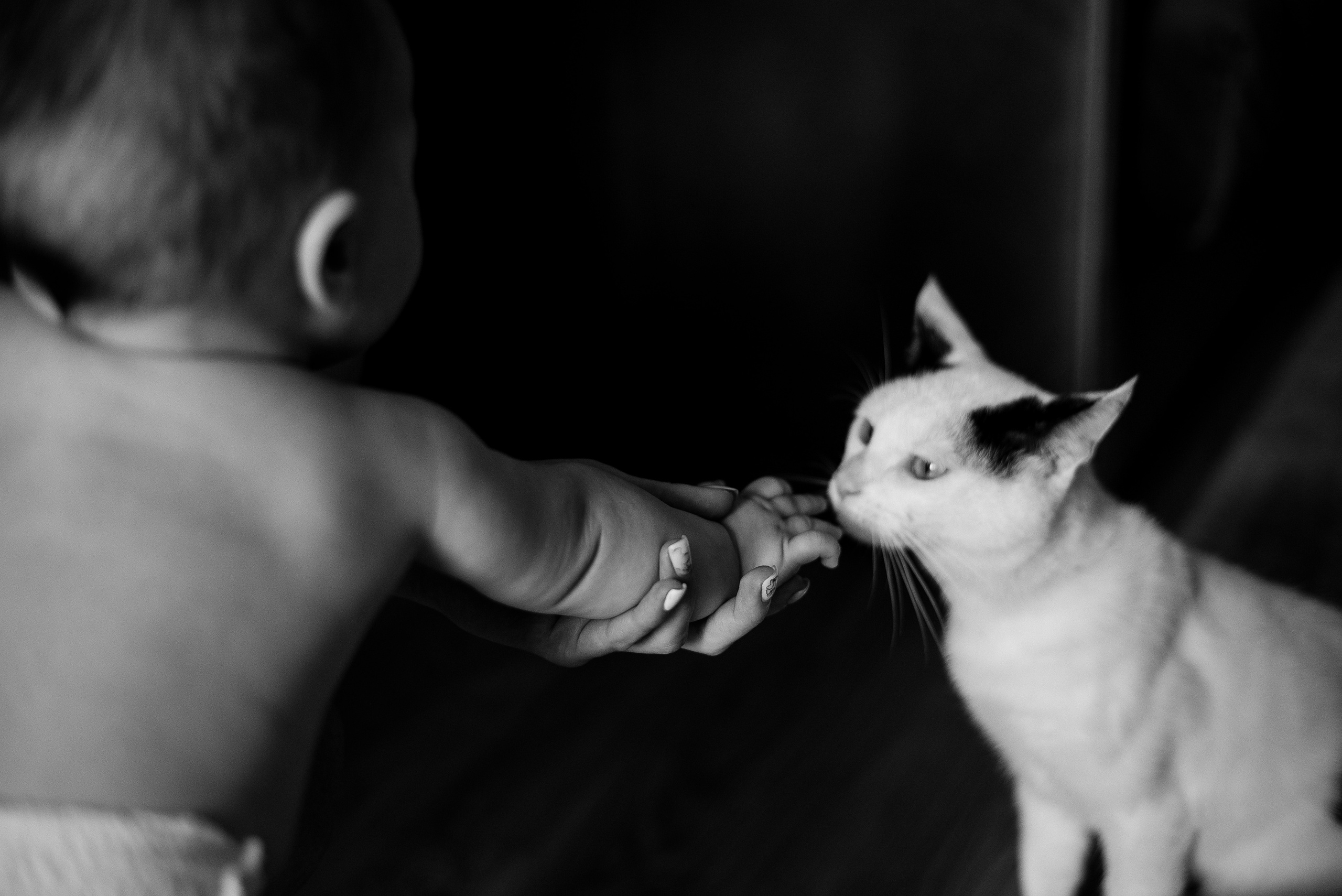 Домашняя Юля и Викуля. Детский и семейный фотограф выпускной альбом Приморско-Ахтарск