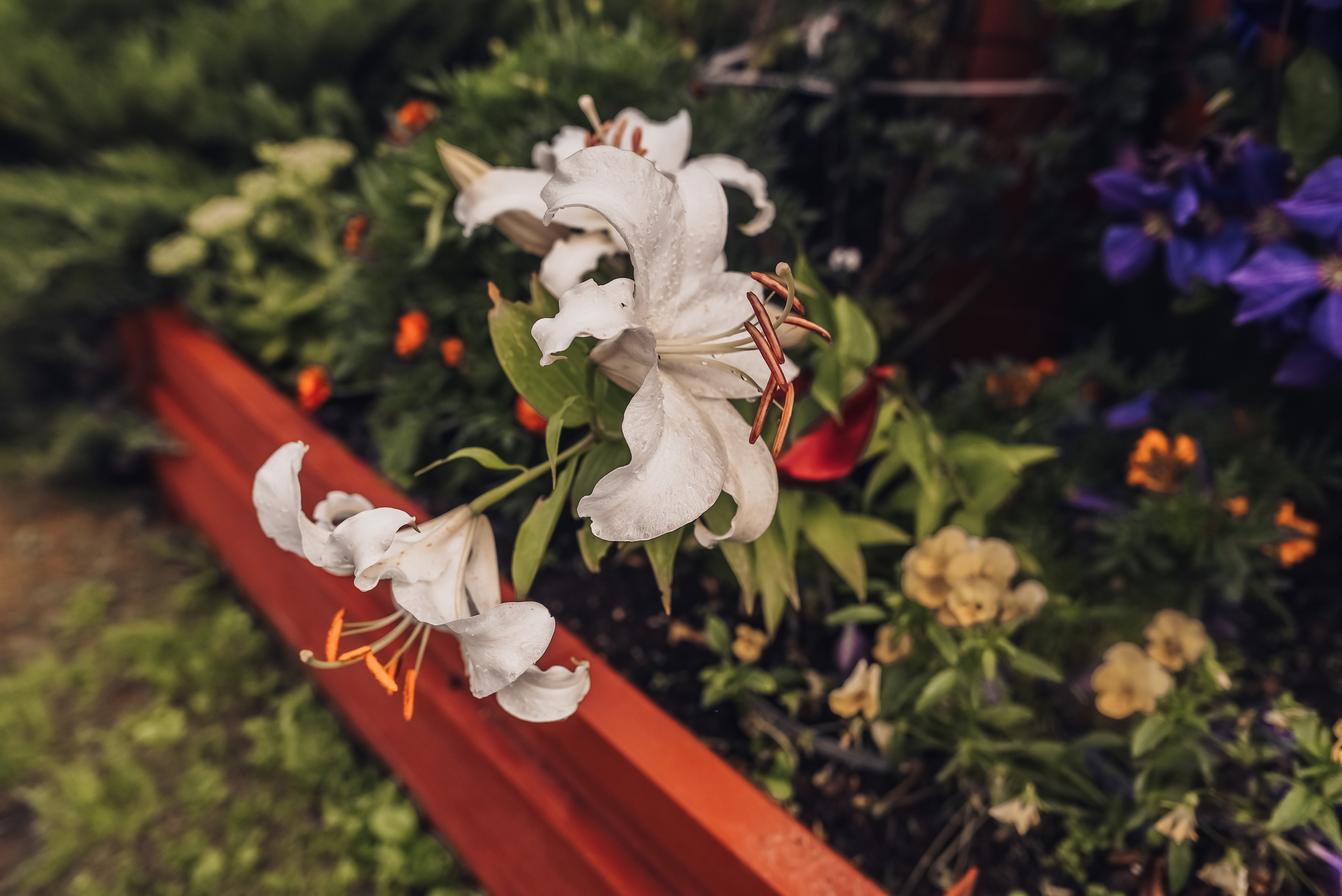 Яркие краски осени. Детский и семейный фотограф выпускной альбом Приморско-Ахтарск