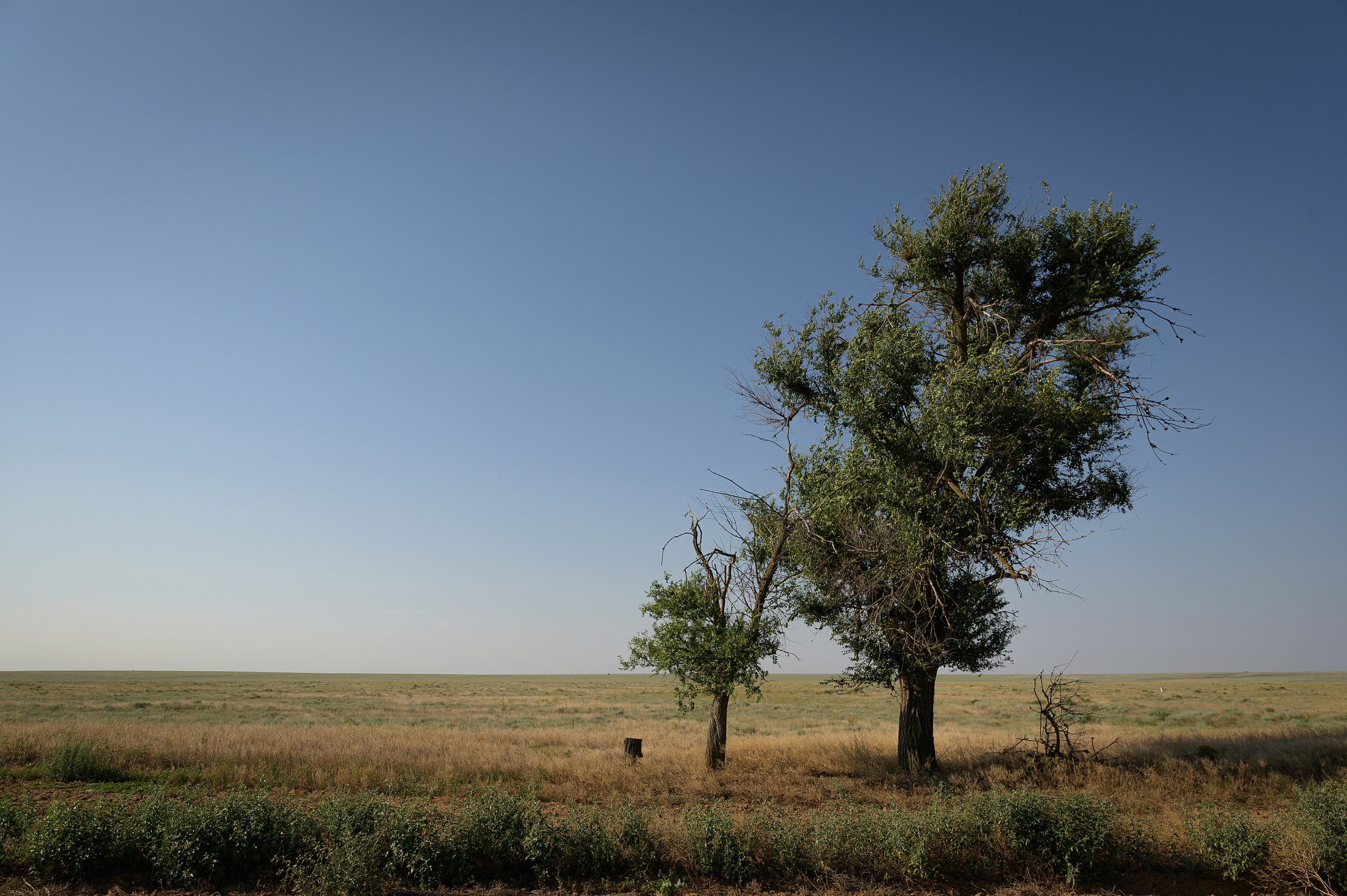 Семейный и детский фотограф в Шатках и Арзамасе Александра Магомедова