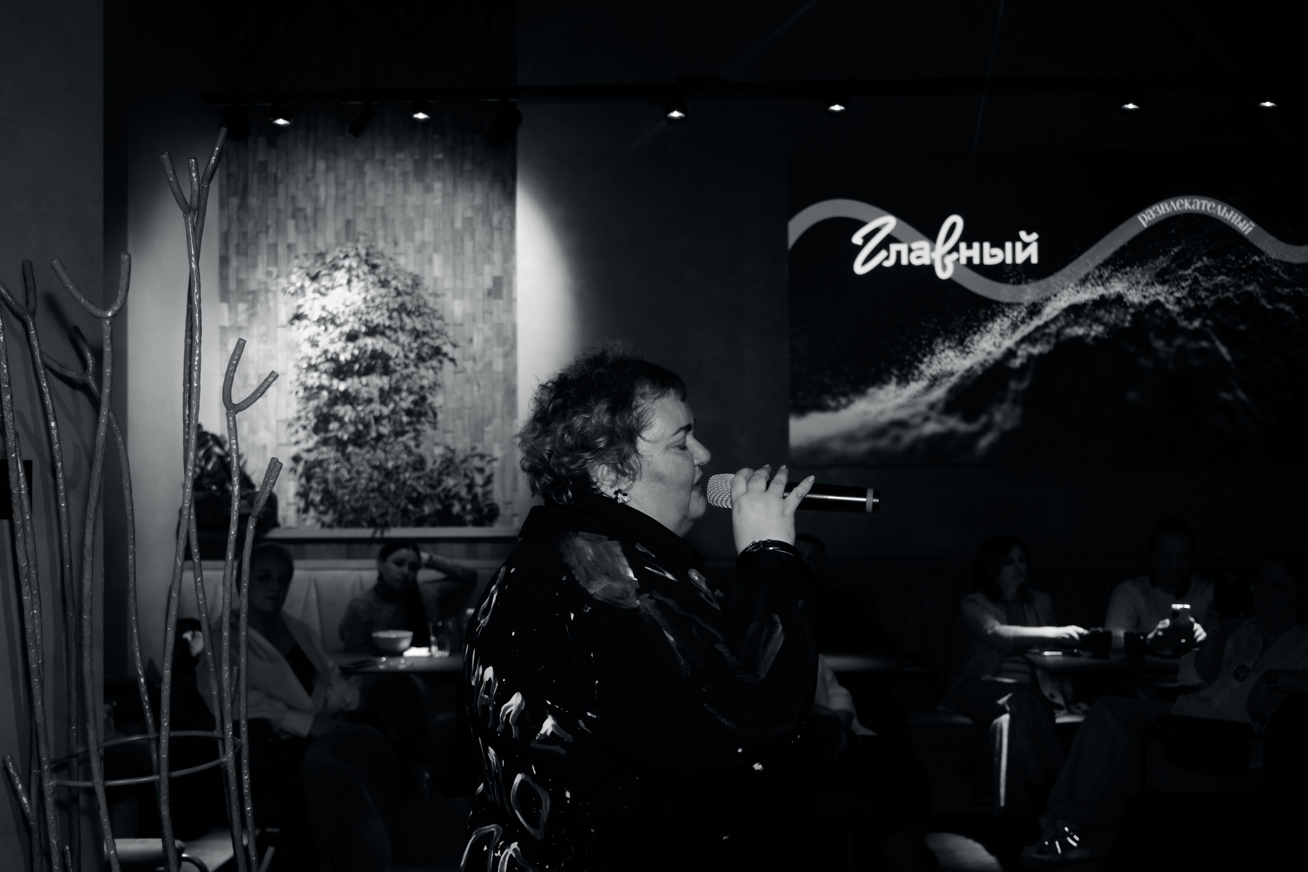 Поэтический вечер Венеры Валевской. Фотограф из Первоуральска Роман Заиченко