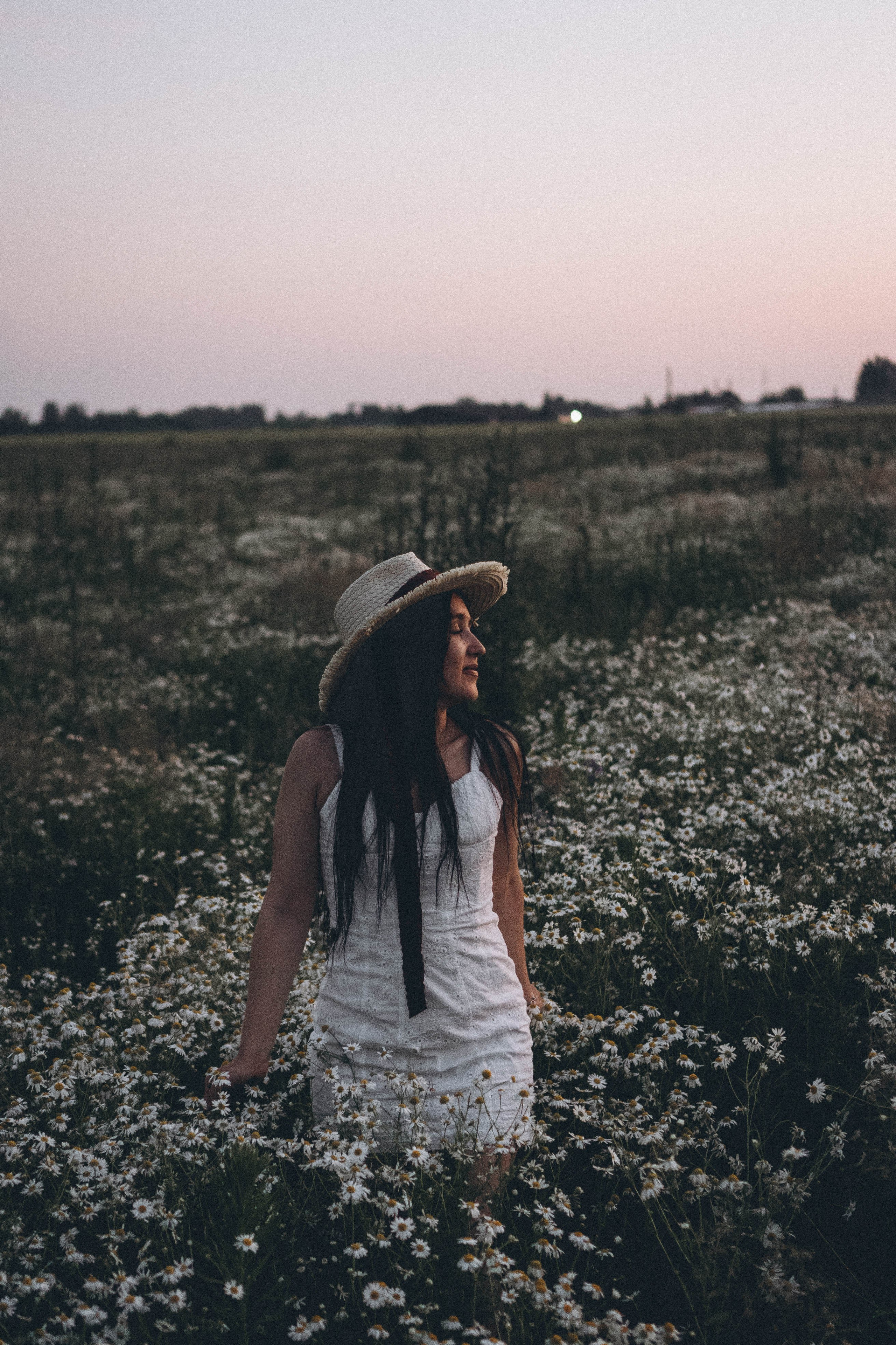 Ромашковое поле. Профессиональный фотограф, Санкт-Петербург — Виктория Богомолова