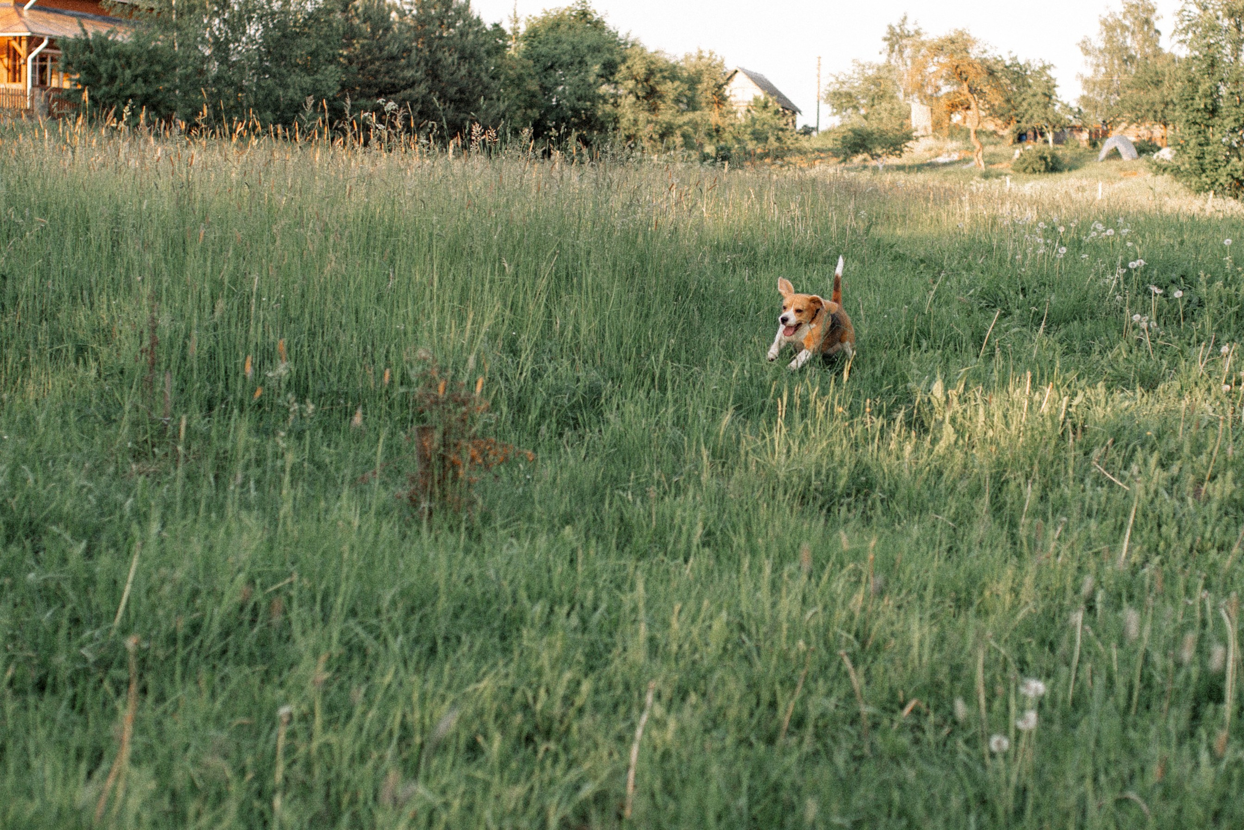 Ира с семьёй