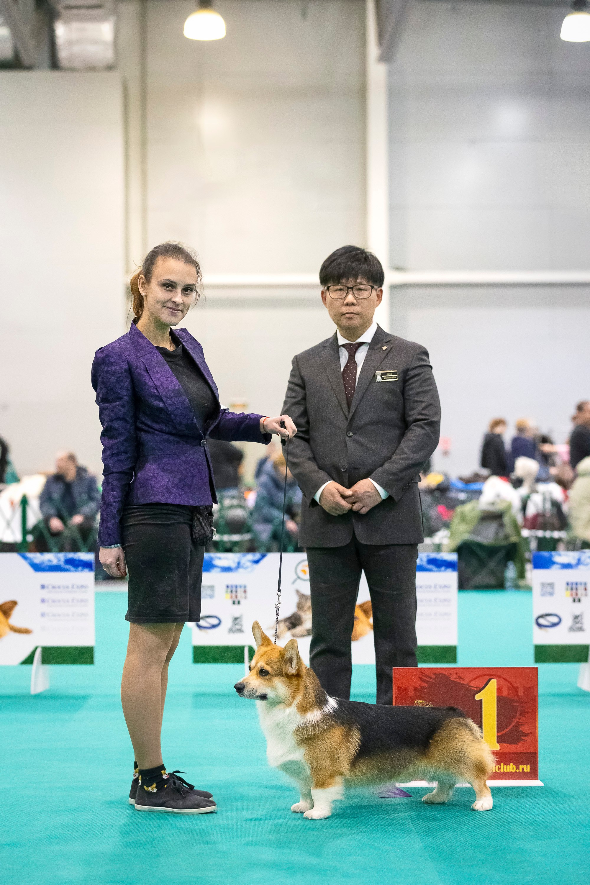 Крокус 10.02. Фотограф анималист, семейный фотограф, фотограф собак Комратова Мария. г. Москва