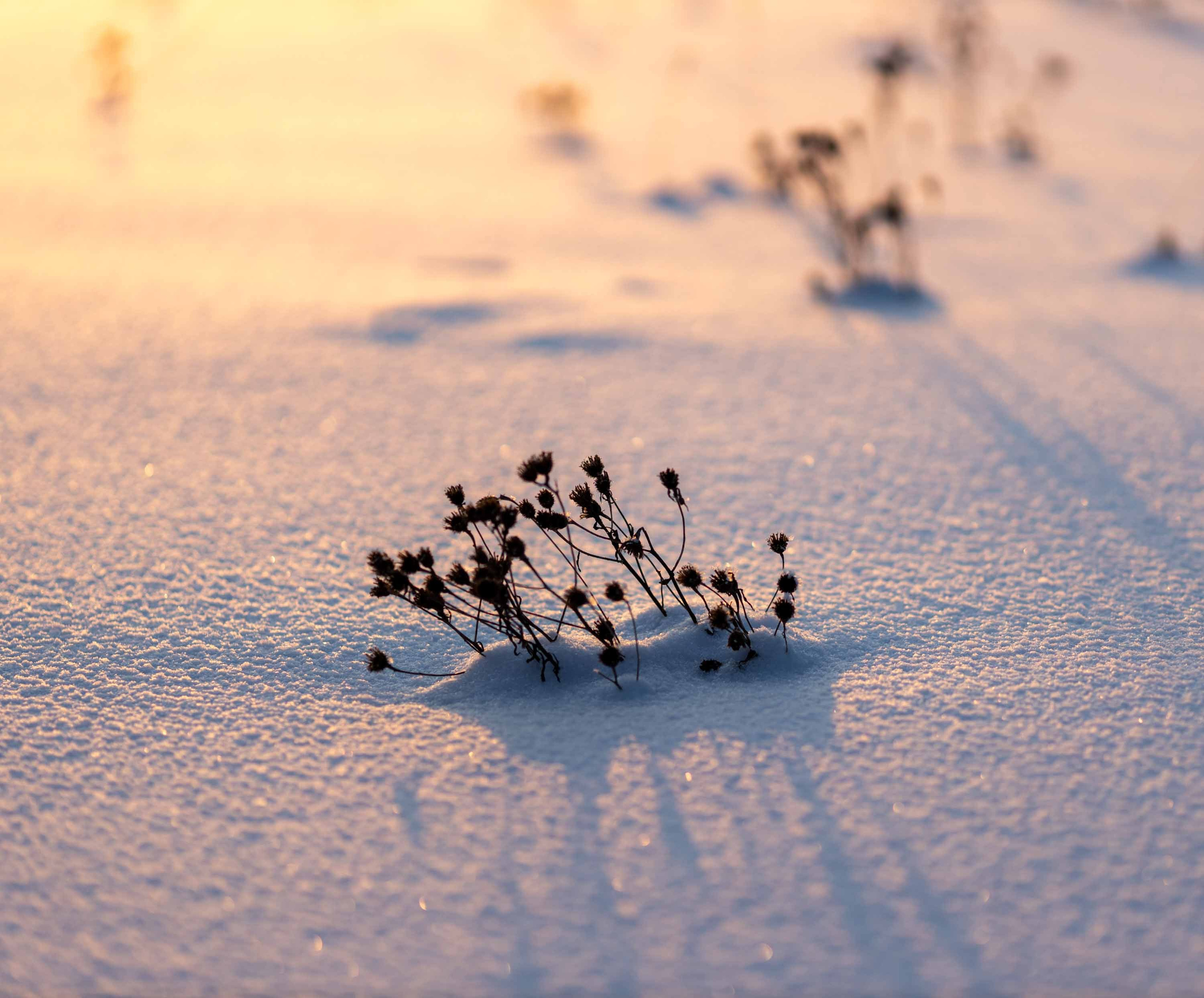 Природные пейзажи. Наталия Клевинскас портретный фотограф в Костроме