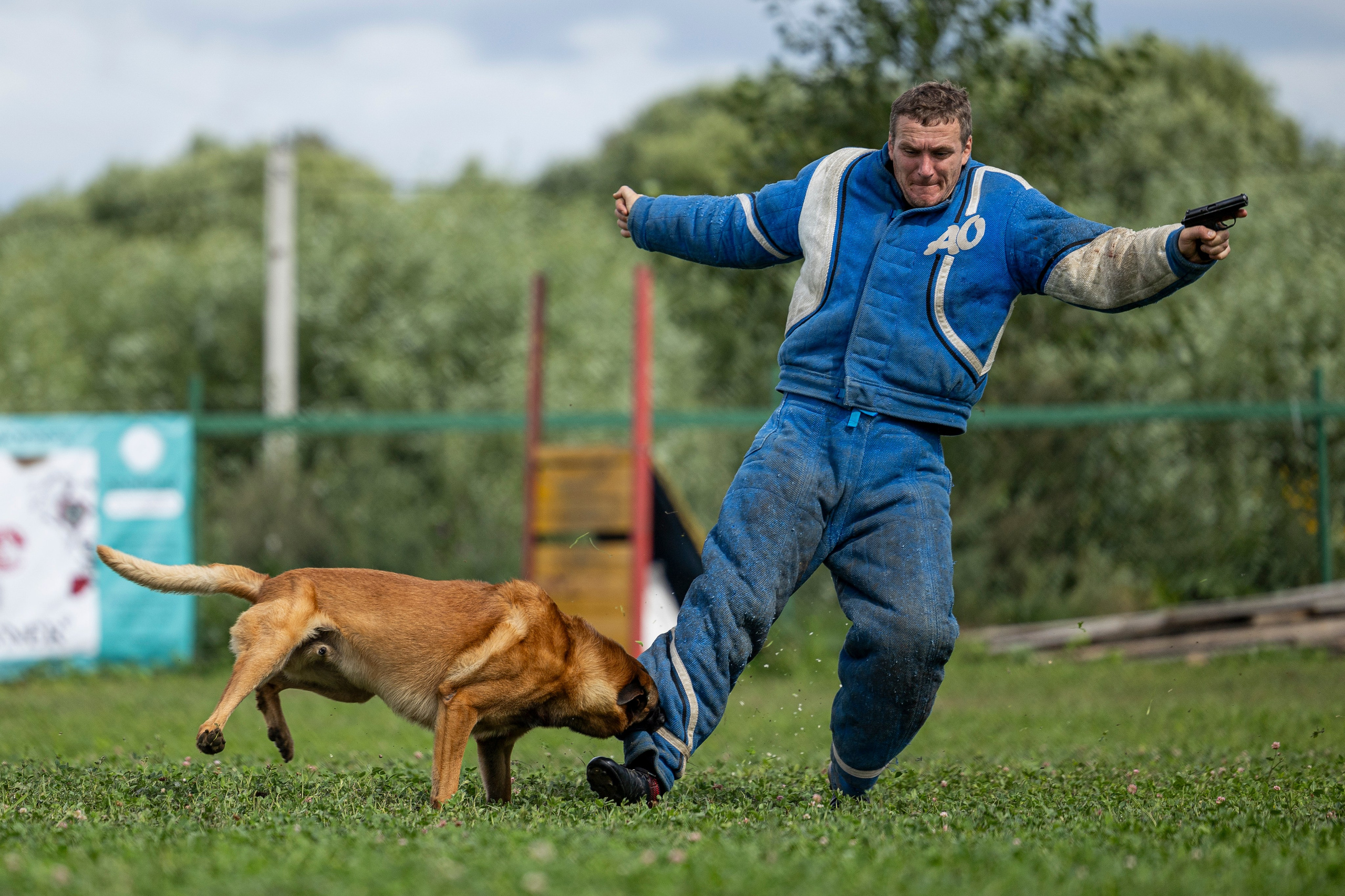 Соревнования по Мондьорингу г. Вологда 10-11.08.2024. Фотограф-анималист Анна Маринич