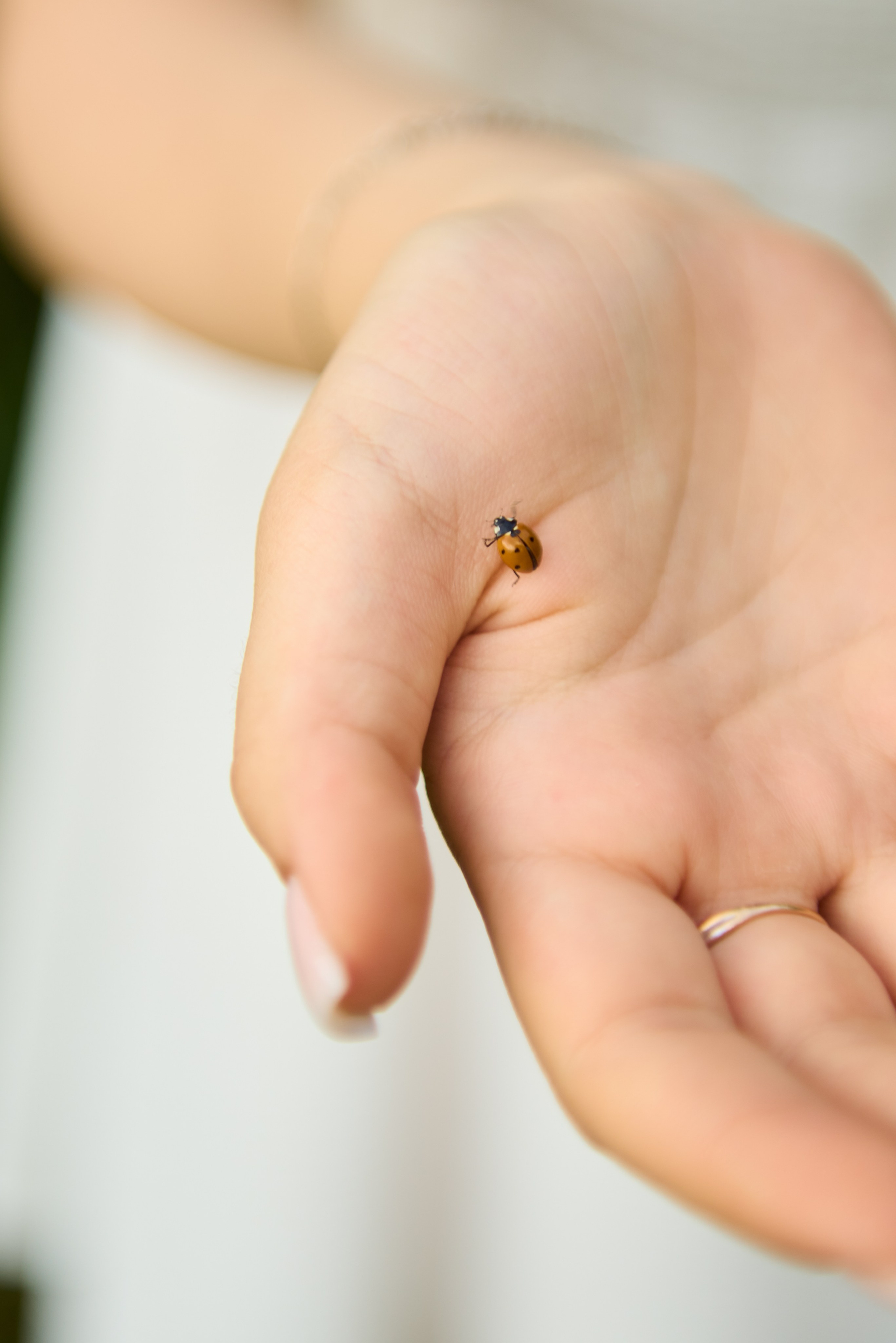 Екатерина. Фотограф Евдокимов Никита. Тамбов, Москва