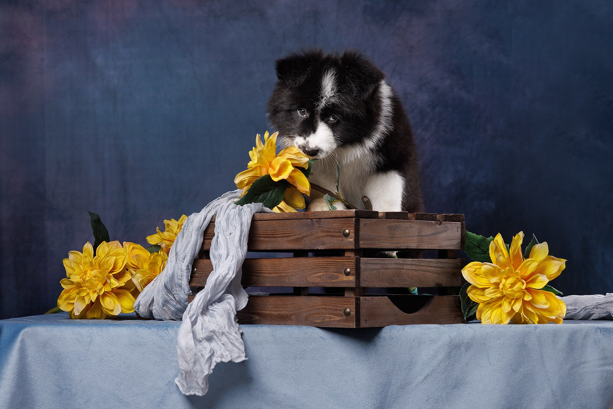 На водной основе. О нас