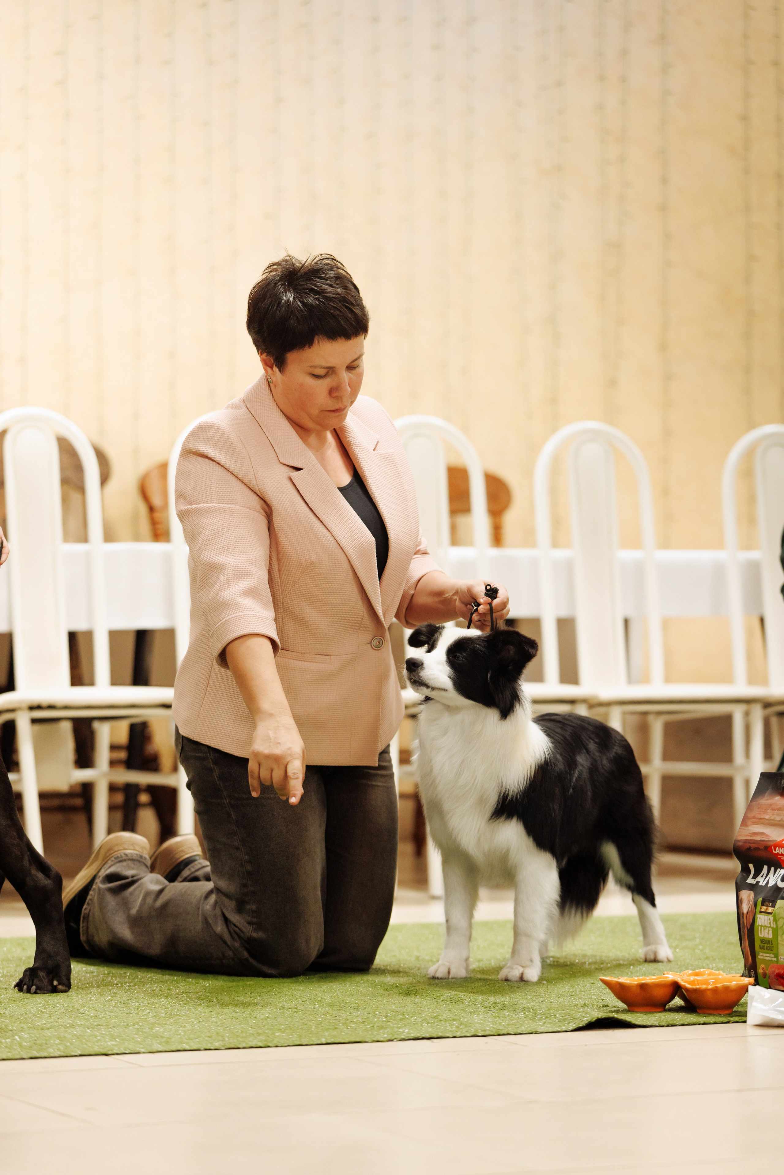 Выставка октября в Оренбурге. О нас