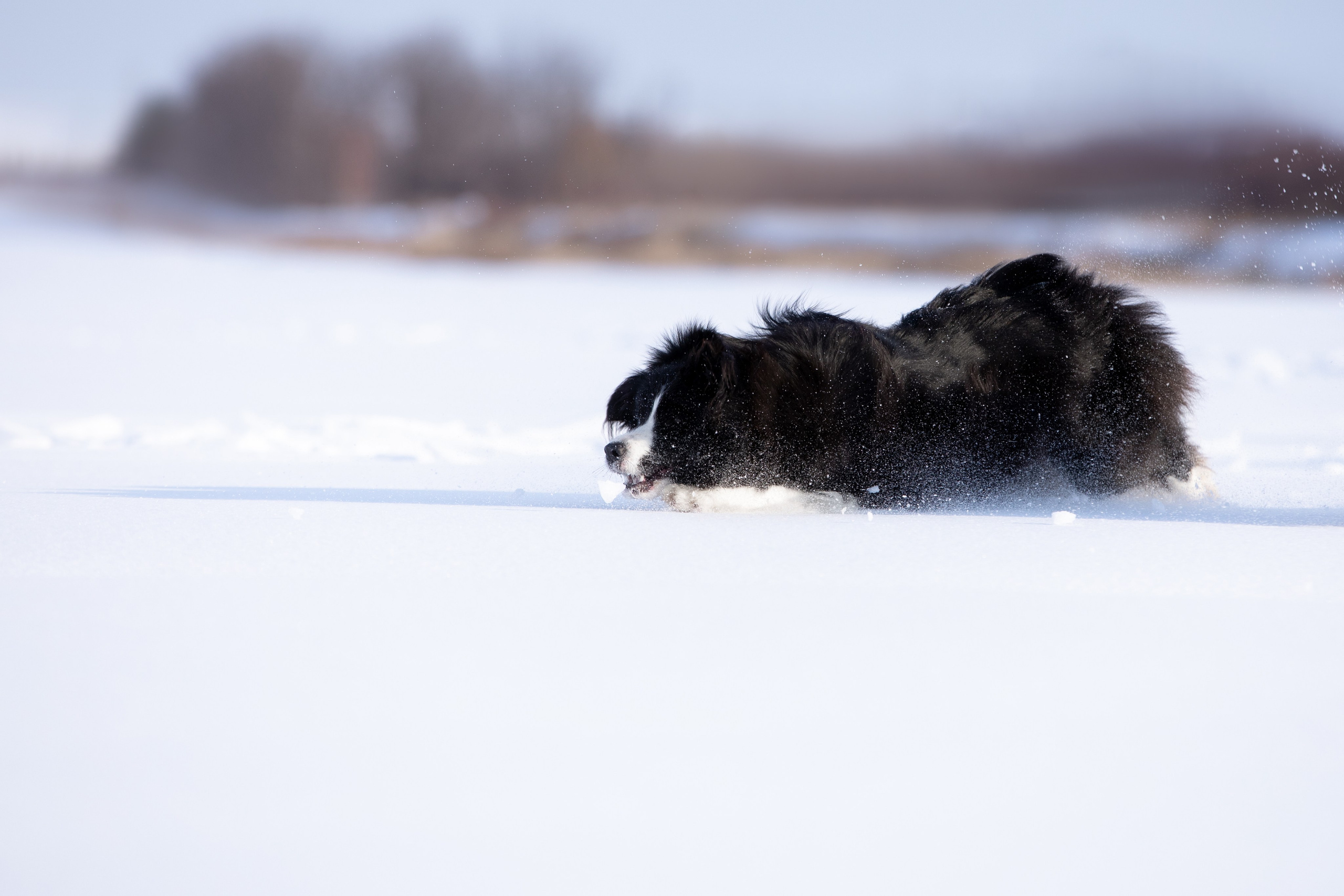 Мороз и солнце. О нас