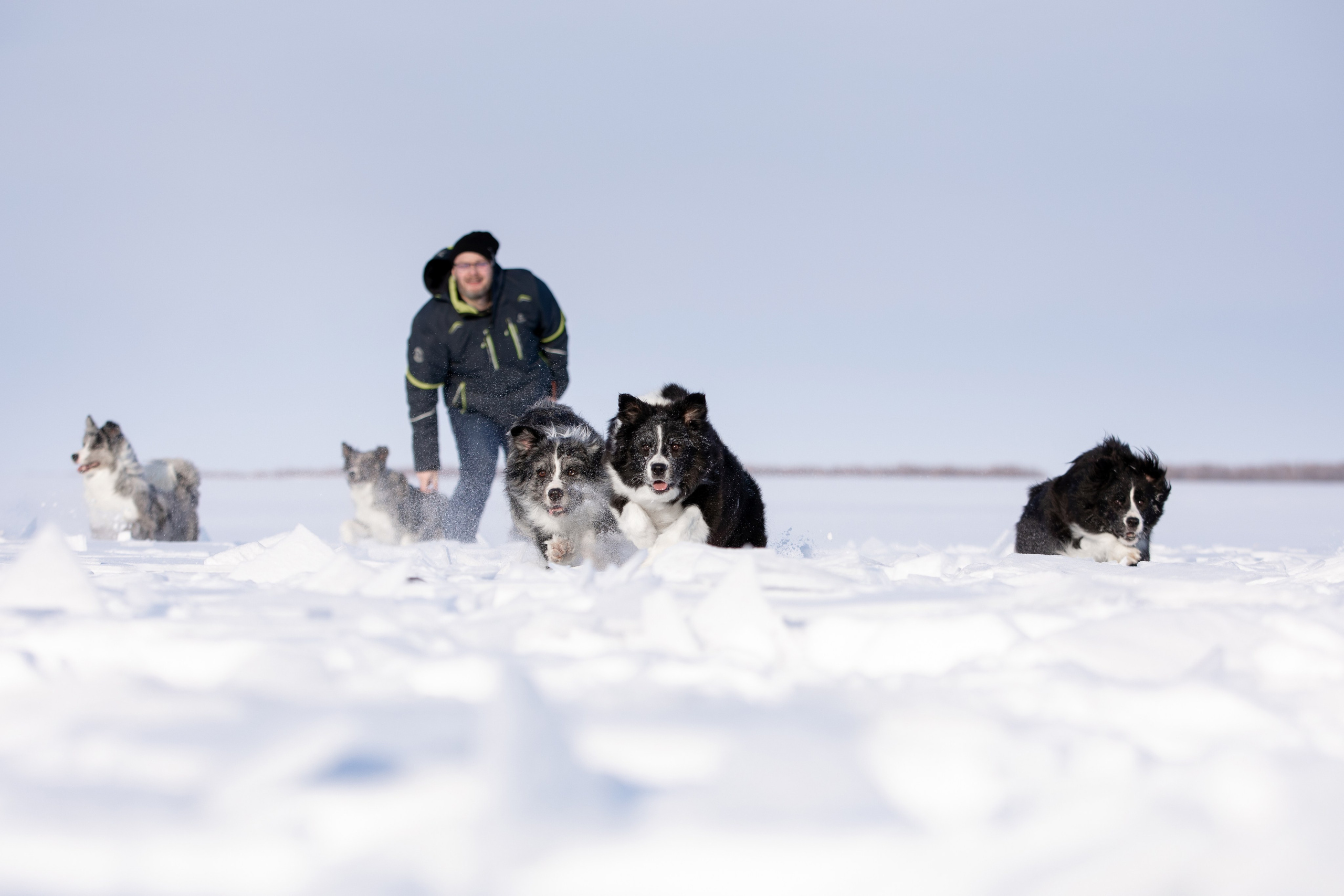 Мороз и солнце. О нас