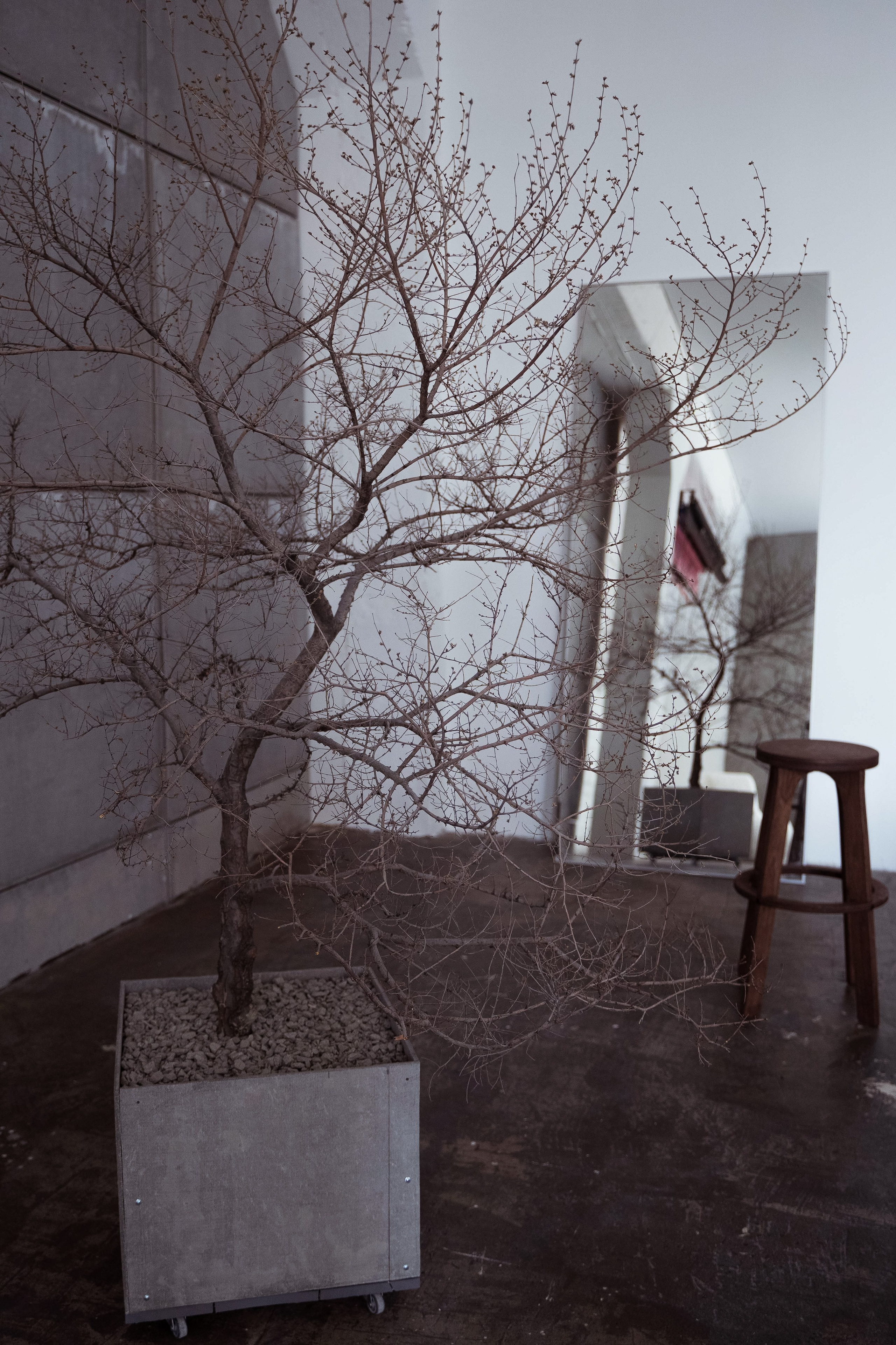 Грэй (студия Спутник). Фотограф г. Хабаровск. Семейные и индивидуальные съёмки