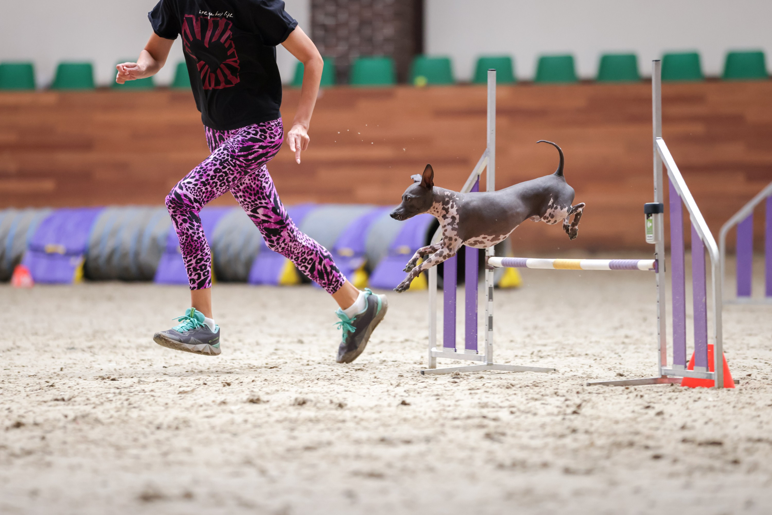 Репортажная съёмка спортивных мероприятий. ESHE_PHOTO Фотограф анималист в Москве и Московской области