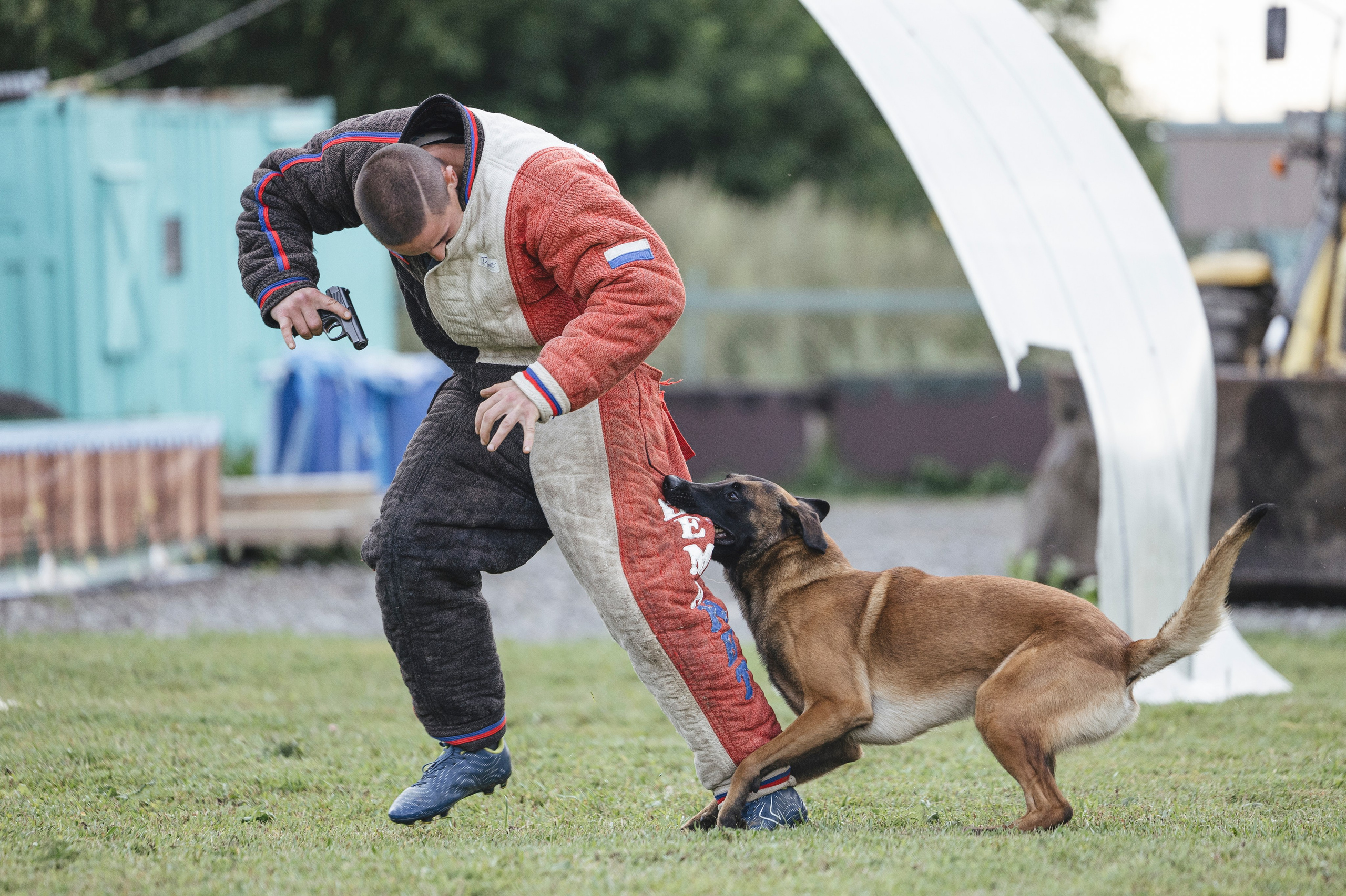 08.08.25-10.08.25 ЧР по мондьорингу г. Вологда. Фотограф-анималист Анна Маринич