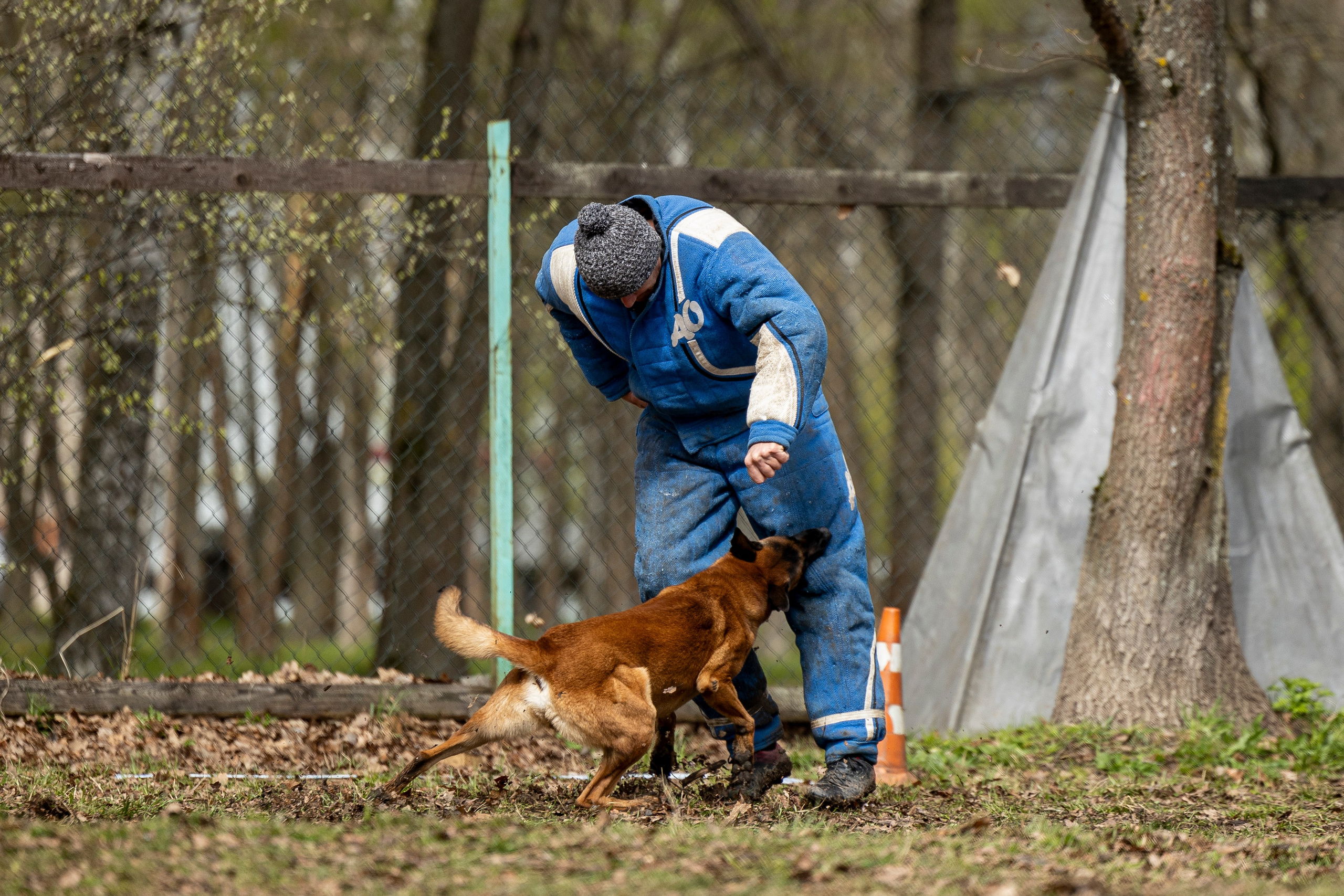 Квалификационные состязания по мондьорингу г. Вологда 11.05.24. Фотограф-анималист Анна Маринич