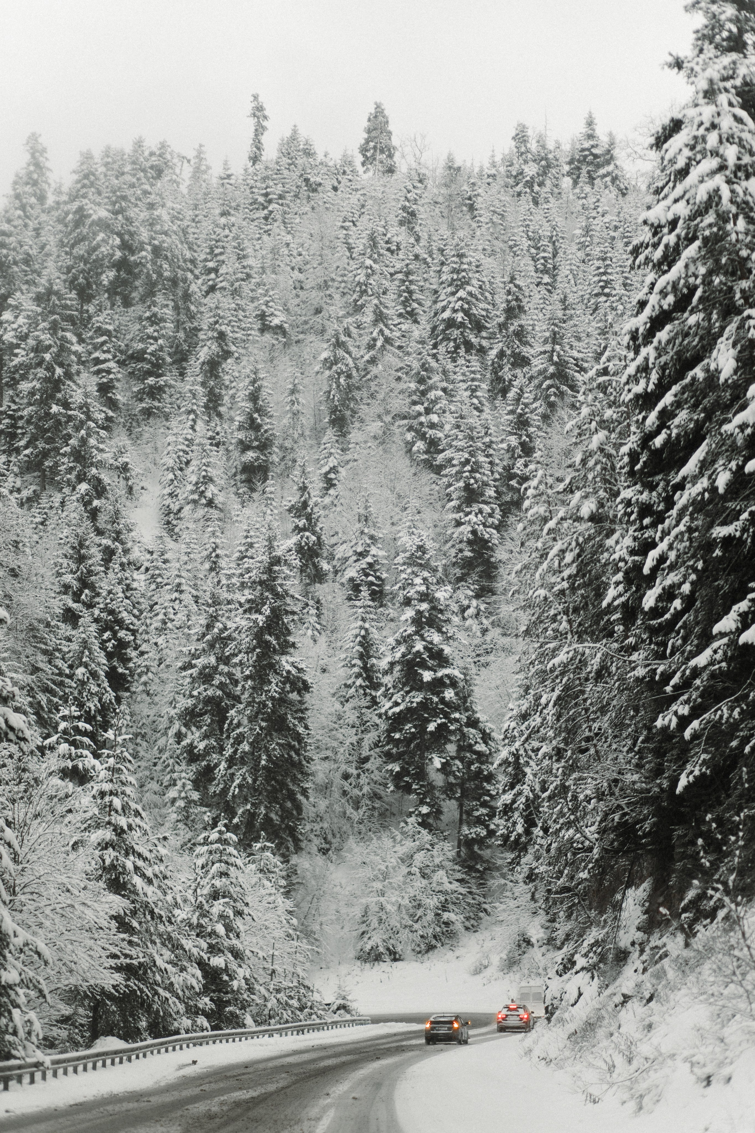 Winter in Bakuriani. Anastasia Blud Photography