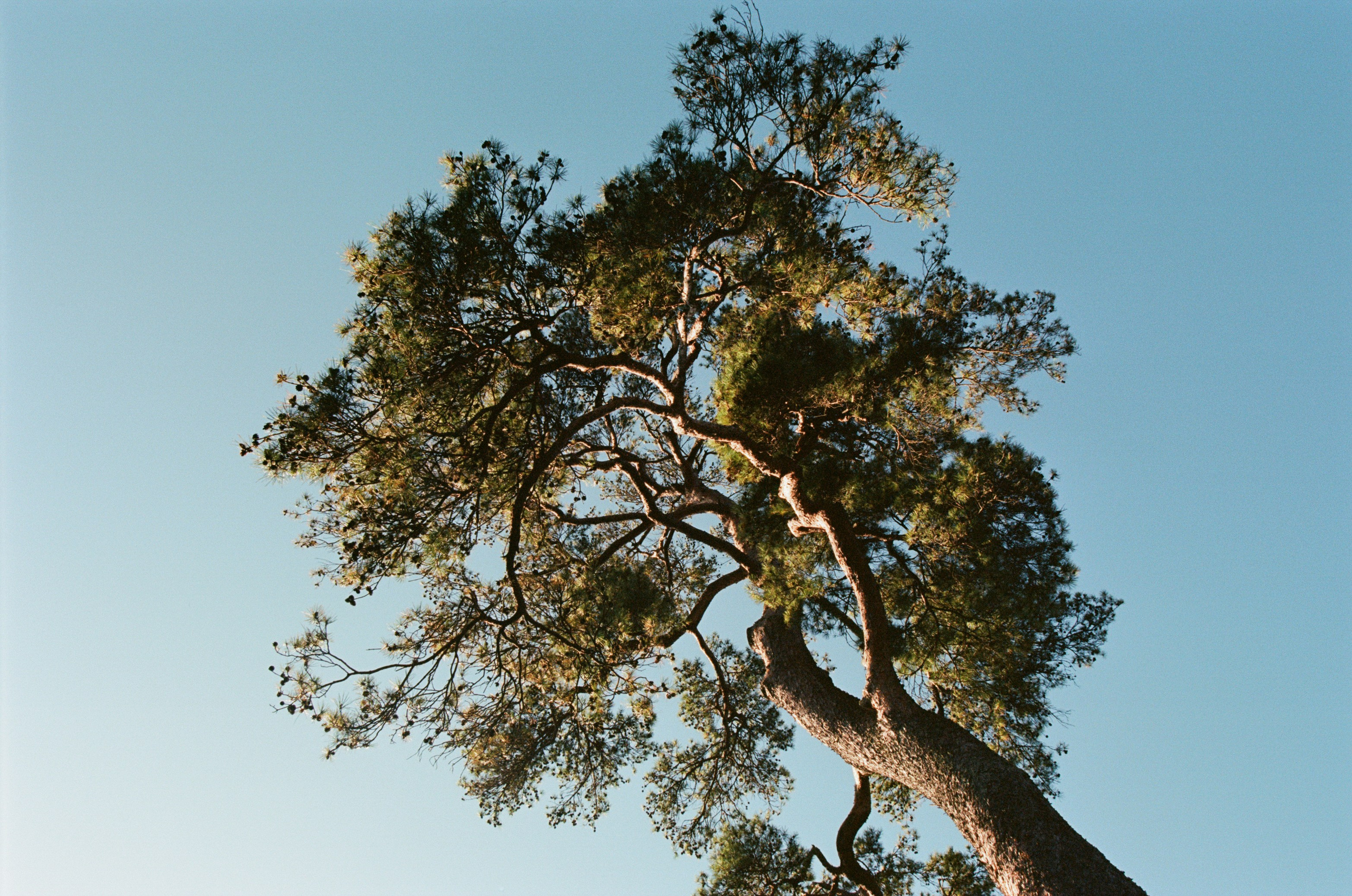Out of noise // japan, kyoto. EVER EXPOSED