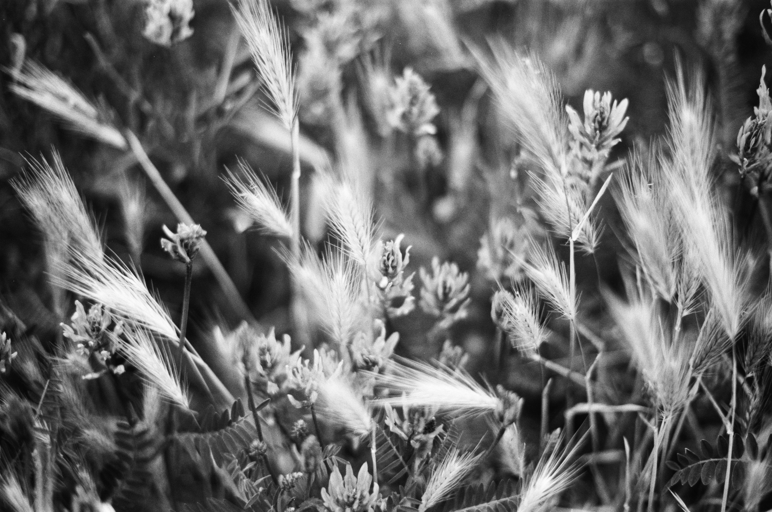 Sparks // ukraine, crimea III. EVER EXPOSED