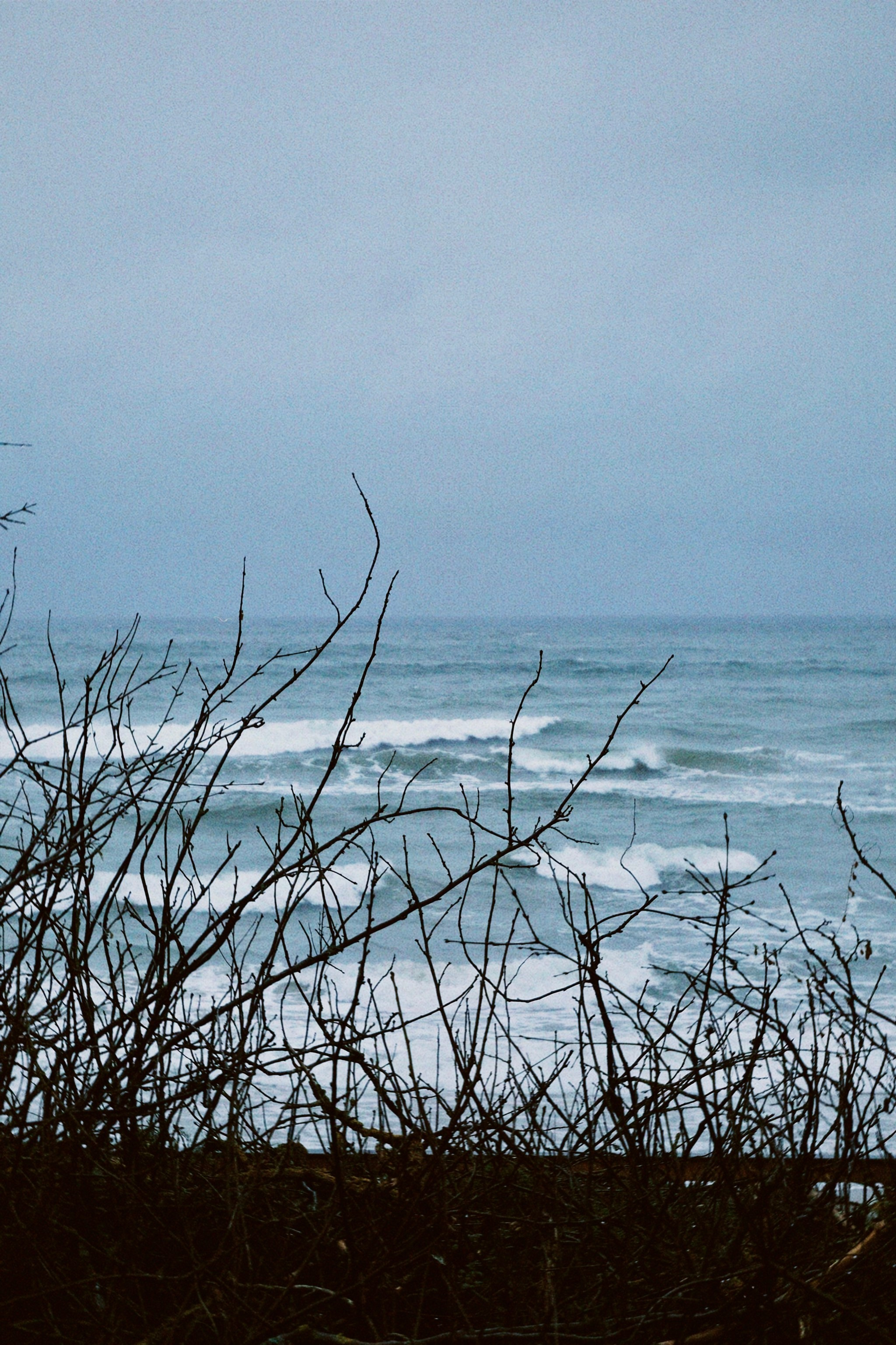 Калининград. Татьян гертье